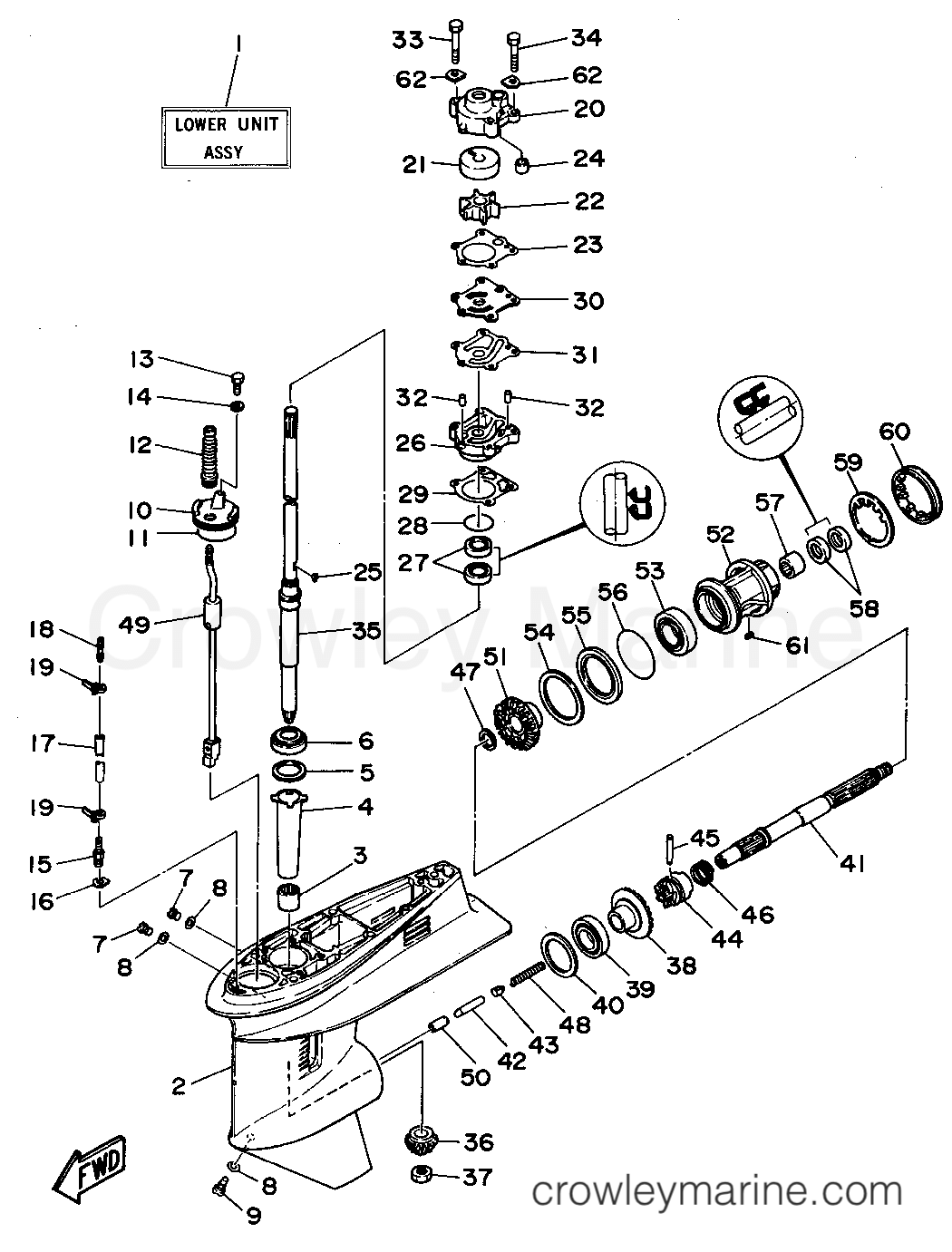 Yamaha Motors P50TLRS - LOWER CASING DRIVE 1