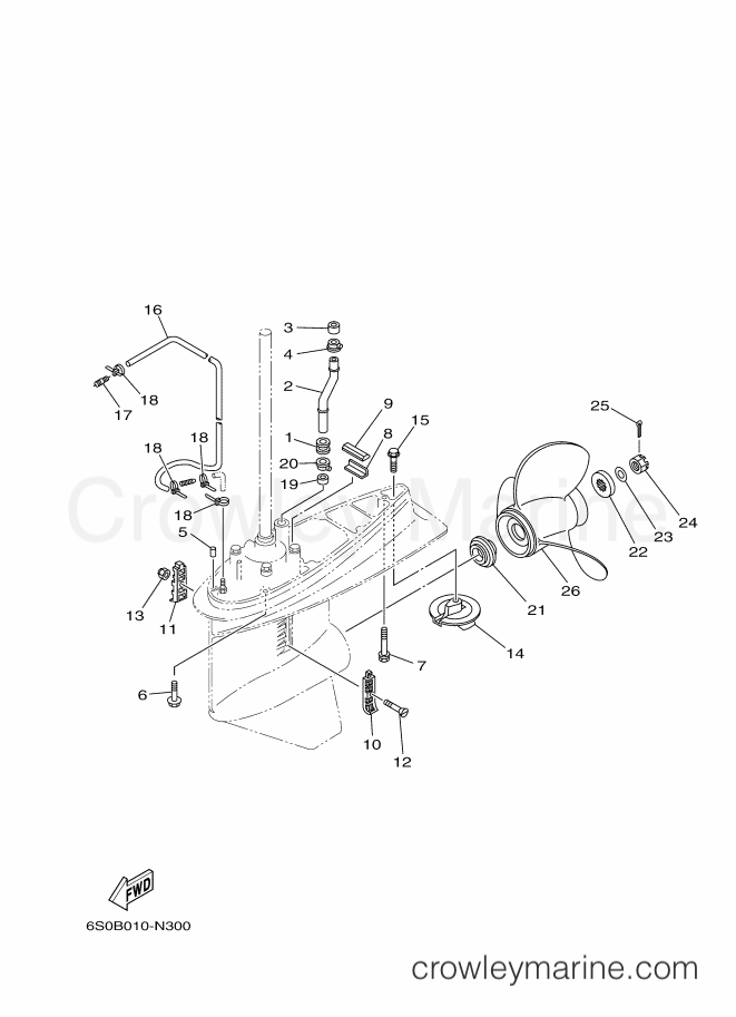 Yamaha Motors F75CEHDL (6BCE) [020] - LOWER CASING & DRIVE 2