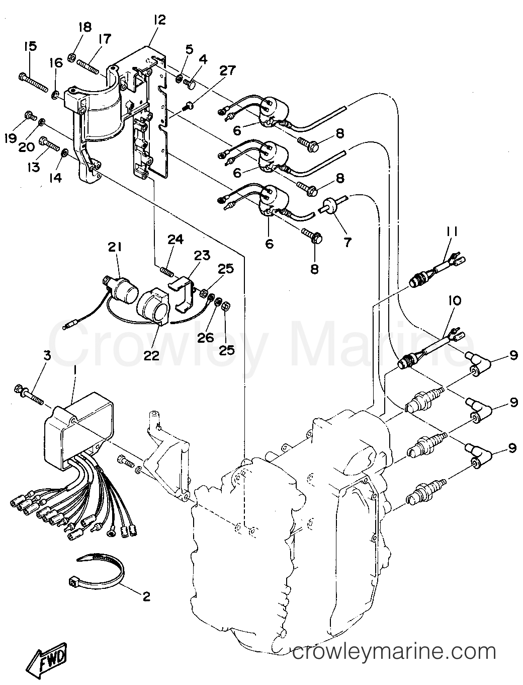 Yamaha Motors 50TLHS - ELECTRICAL 1