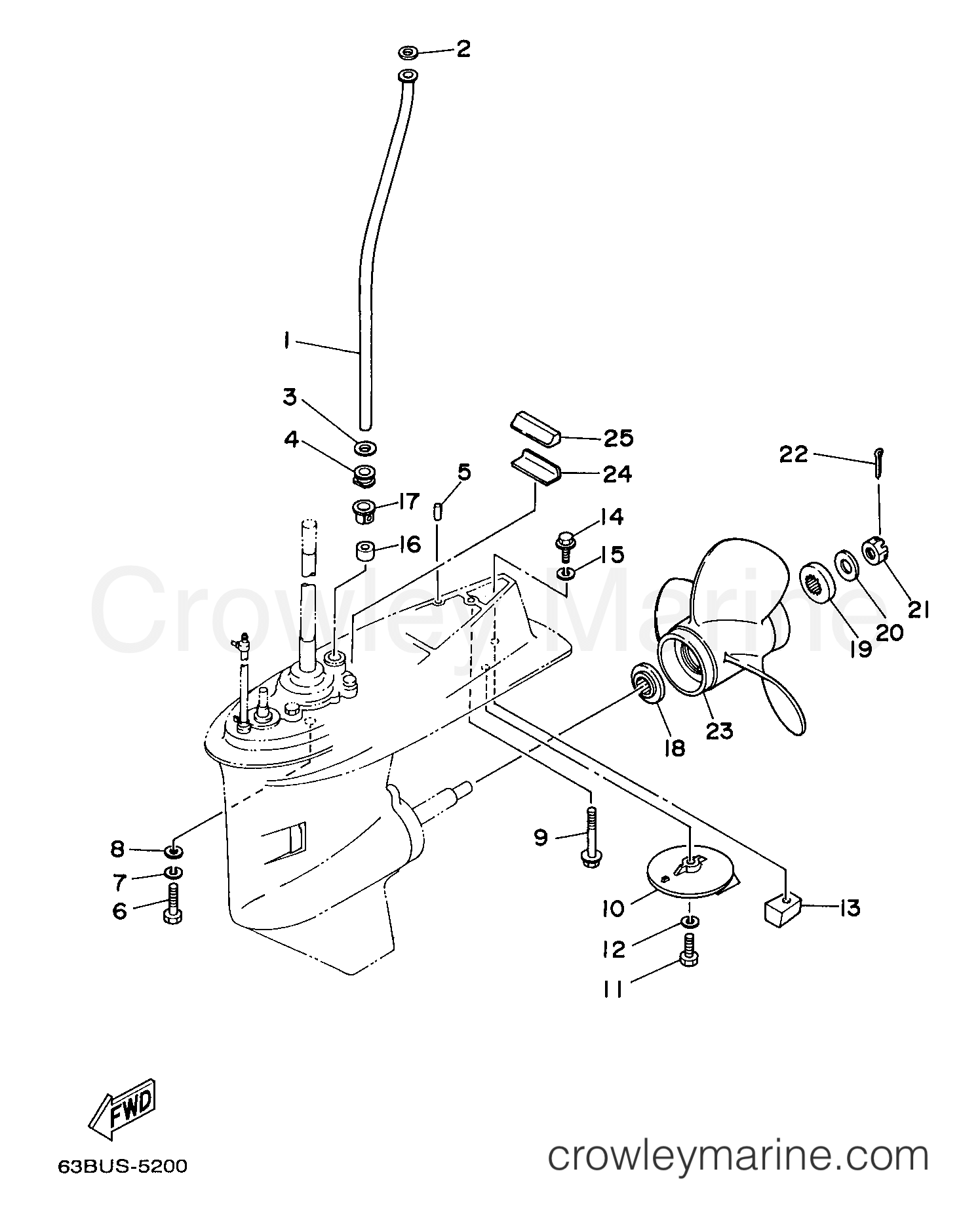 Yamaha Motors C40TLRX - LOWER CASING DRIVE 2