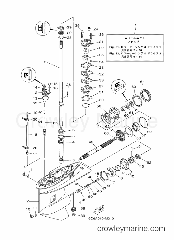 Yamaha Motors FT60GETX (6C6A) [110] - LOWER CASING & DRIVE 1