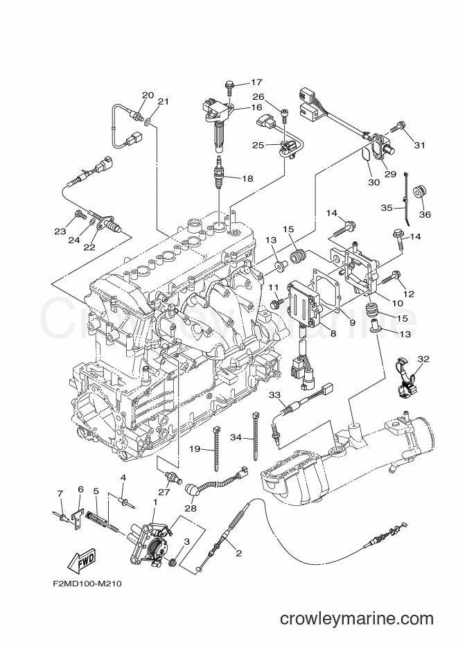 Yamaha Motors VX1800A (F2MD) [020] - ELECTRICAL 2