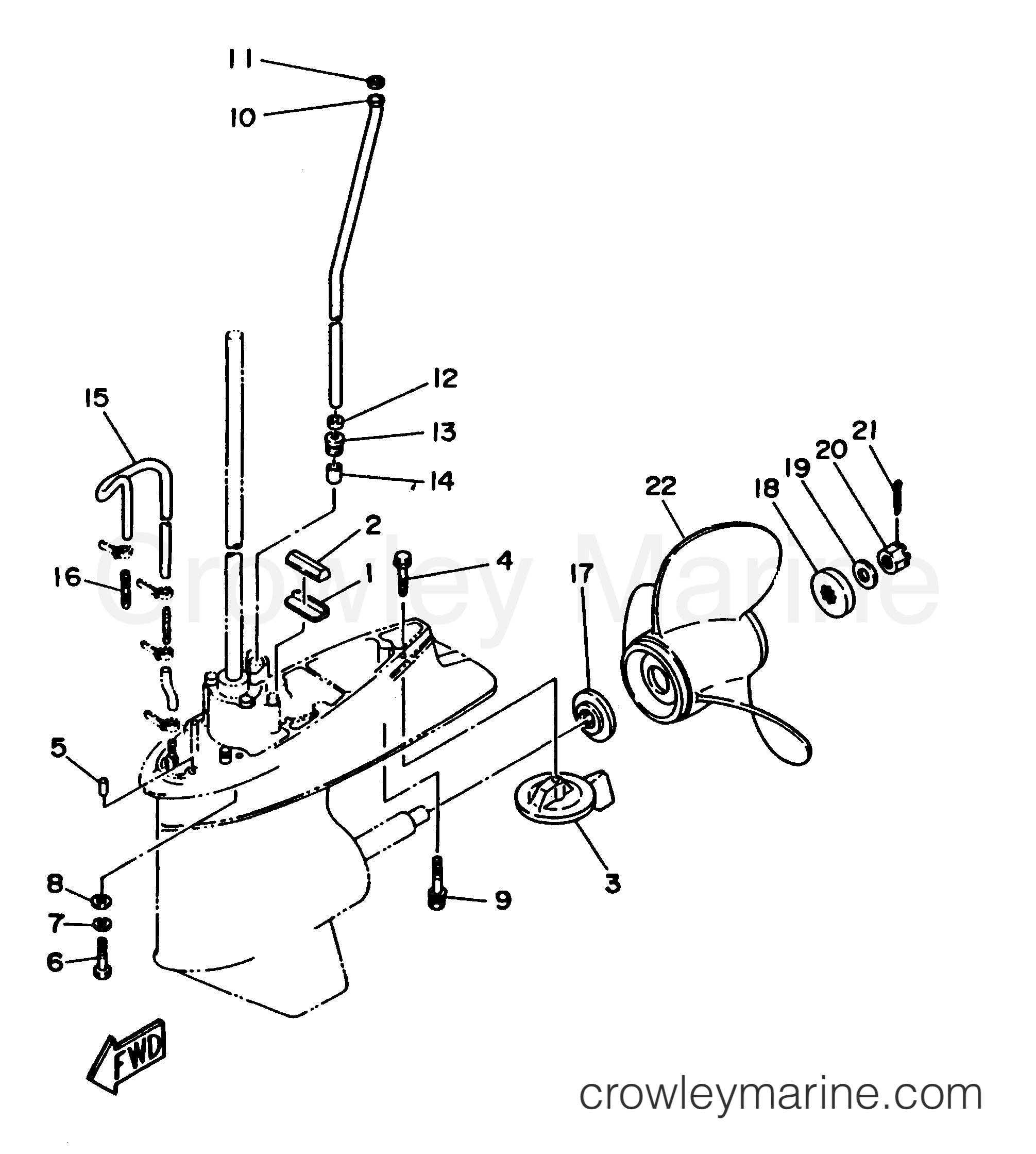 Yamaha Motors 70TLRW - LOWER CASING DRIVE 2