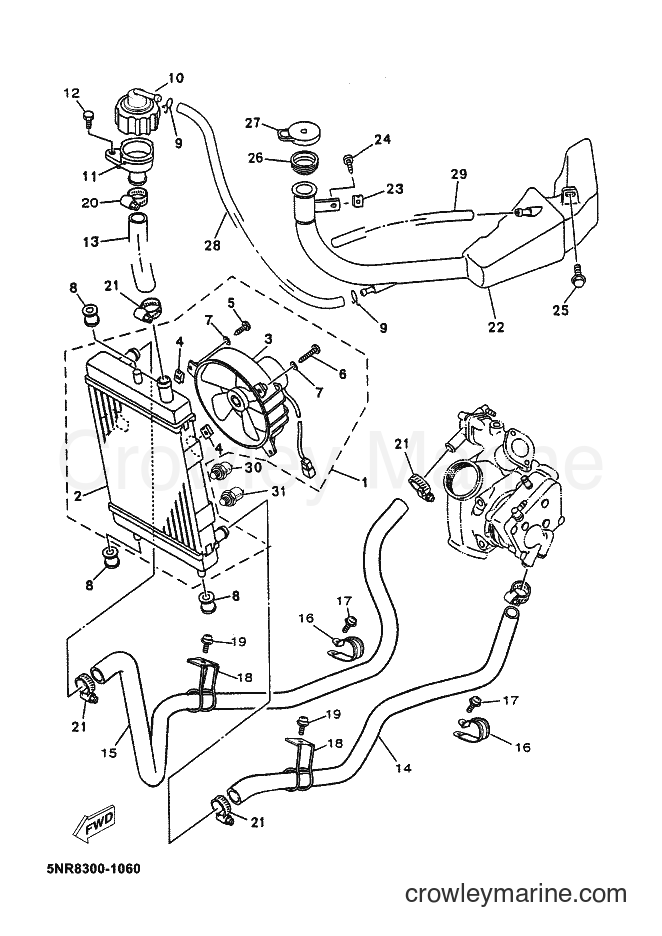 2002 Scooter YP125E - YP125E (5NR8) [010] - RADIATOR & HOSE