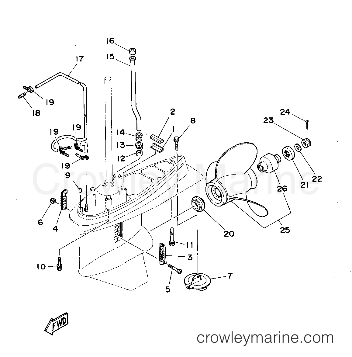 Yamaha Motors P115TLRT - LOWER CASING DRIVE 2