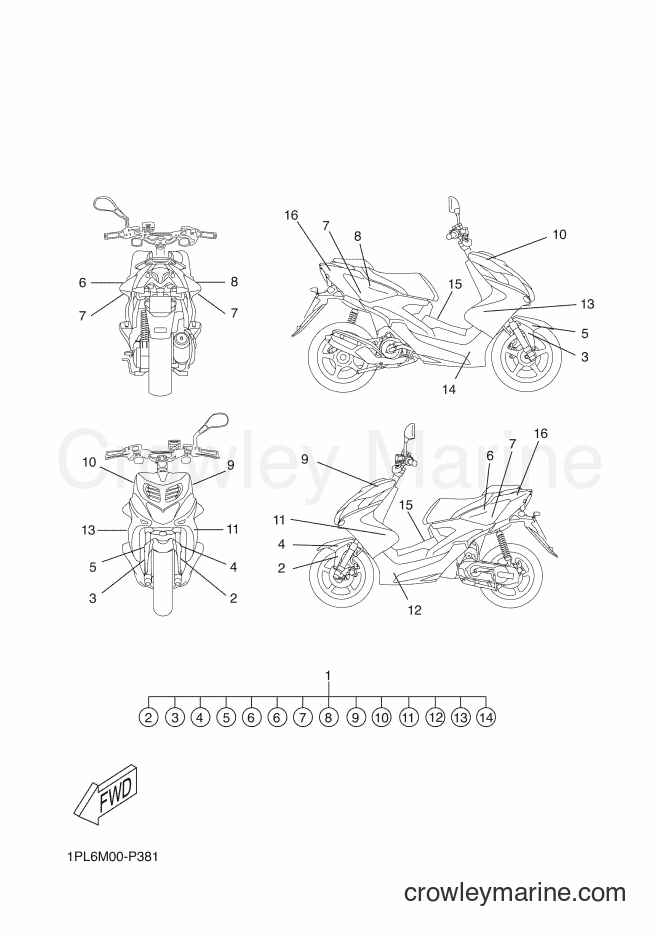 2015 Scooter NS50N - NS50N (1PL6) [020] - GRAPHIC & EMBLEM