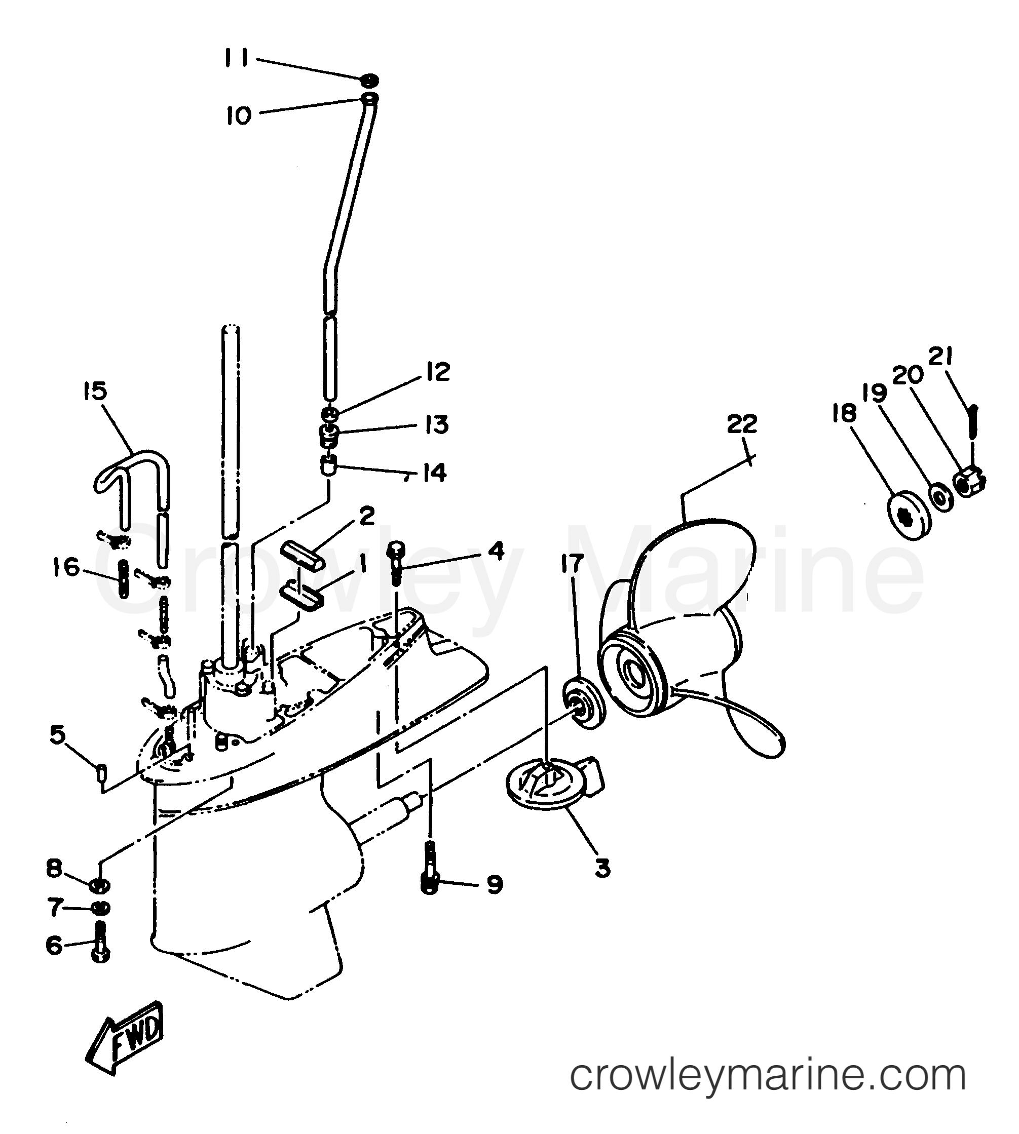Yamaha Motors 70TLRX - LOWER CASING DRIVE 2