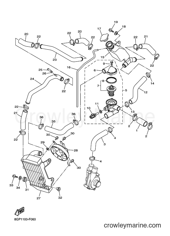 Yamaha Motors RT50 (8GP2) [010] - RADIATOR & HOSE