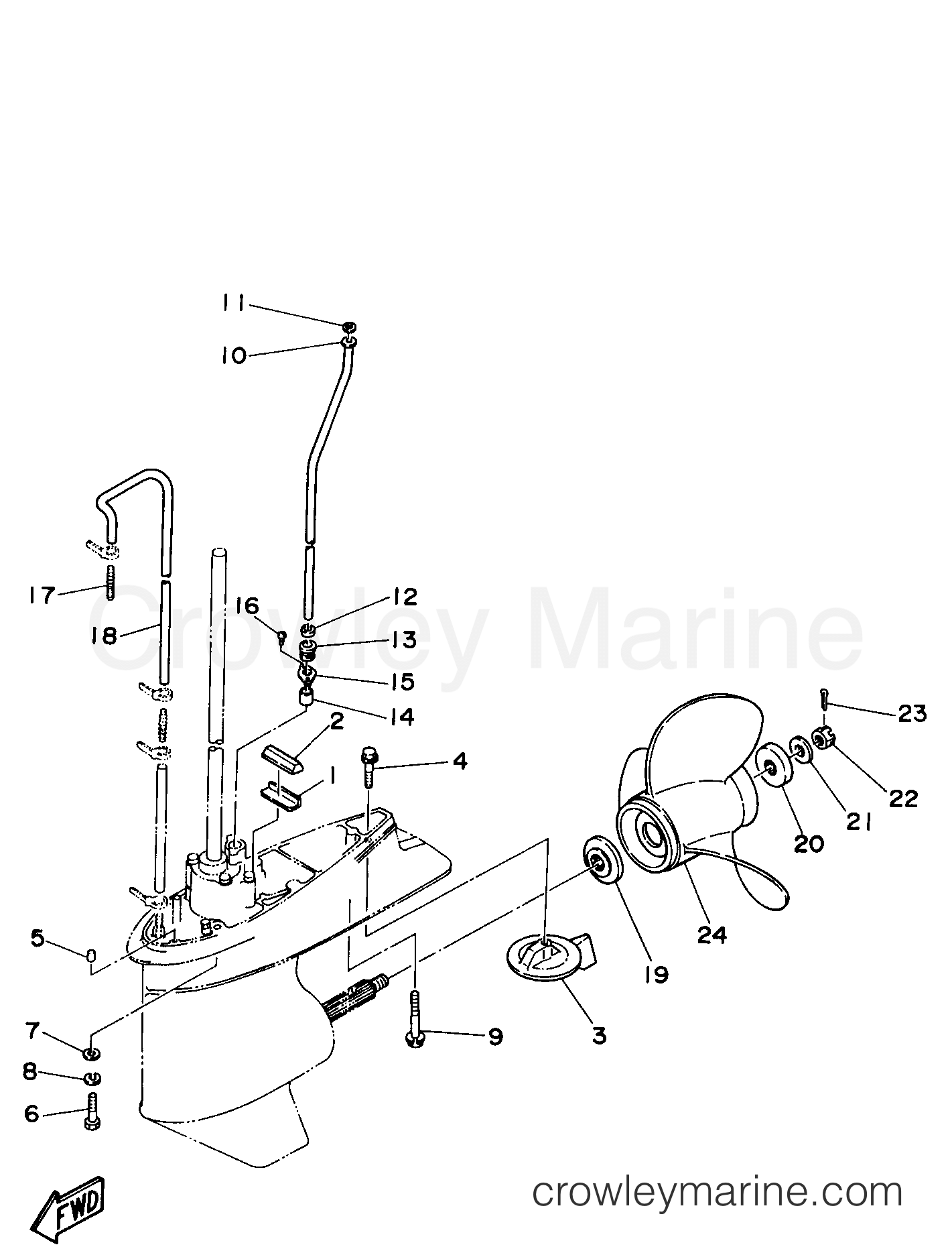 Yamaha Motors C75TLRW - LOWER CASING DRIVE 2
