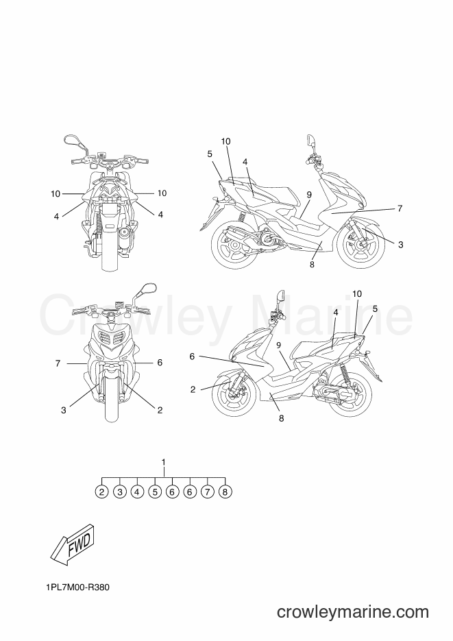 2016 Scooter NS50N - NS50N (1PL7) [020] - GRAPHIC & EMBLEM