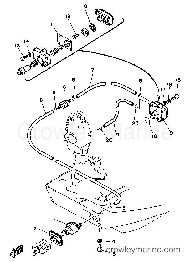 Yamaha Motors F9.9MLHP - FUEL SYSTEM