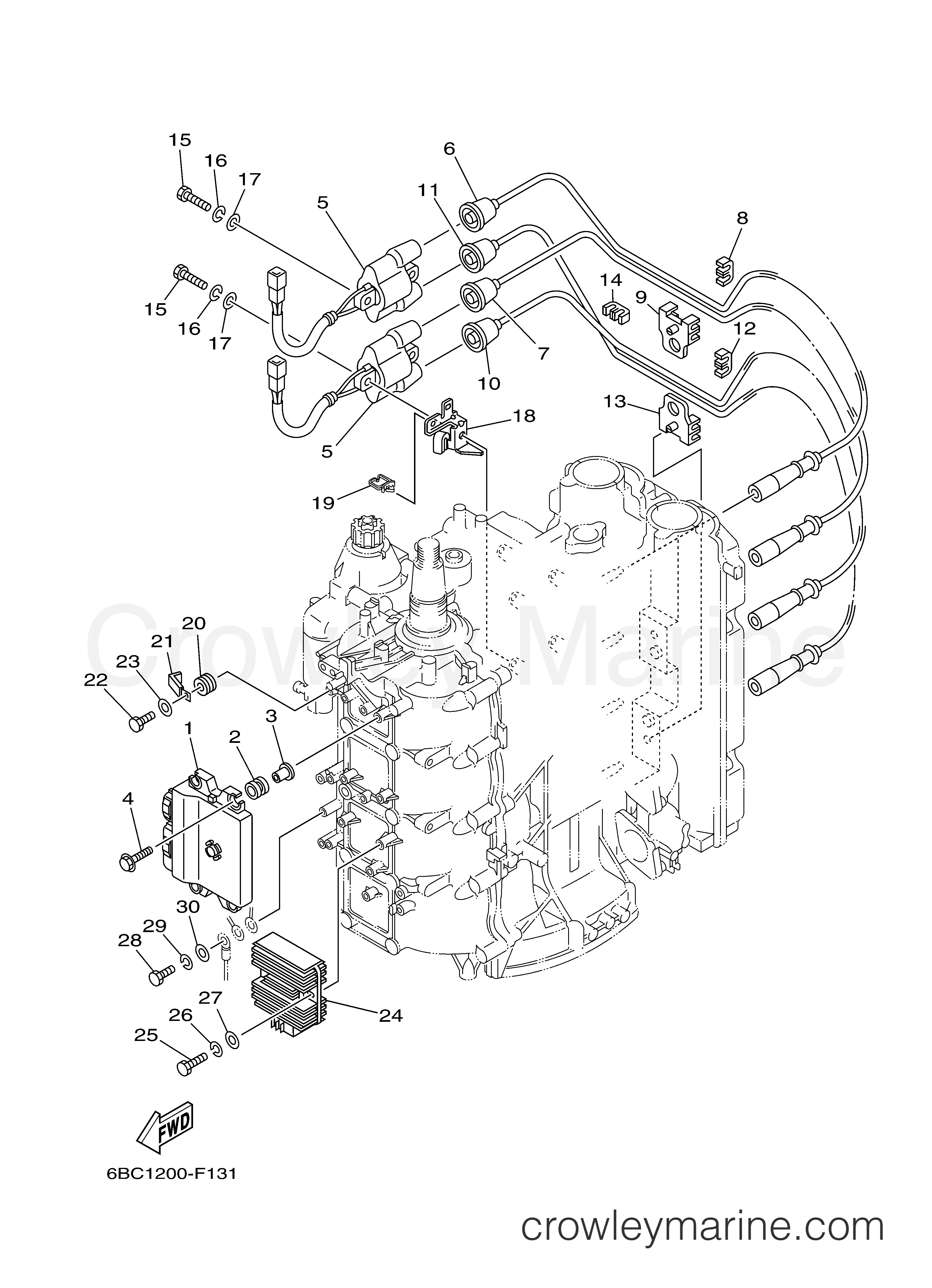 Yamaha Motors F75TLR - ELECTRICAL 1