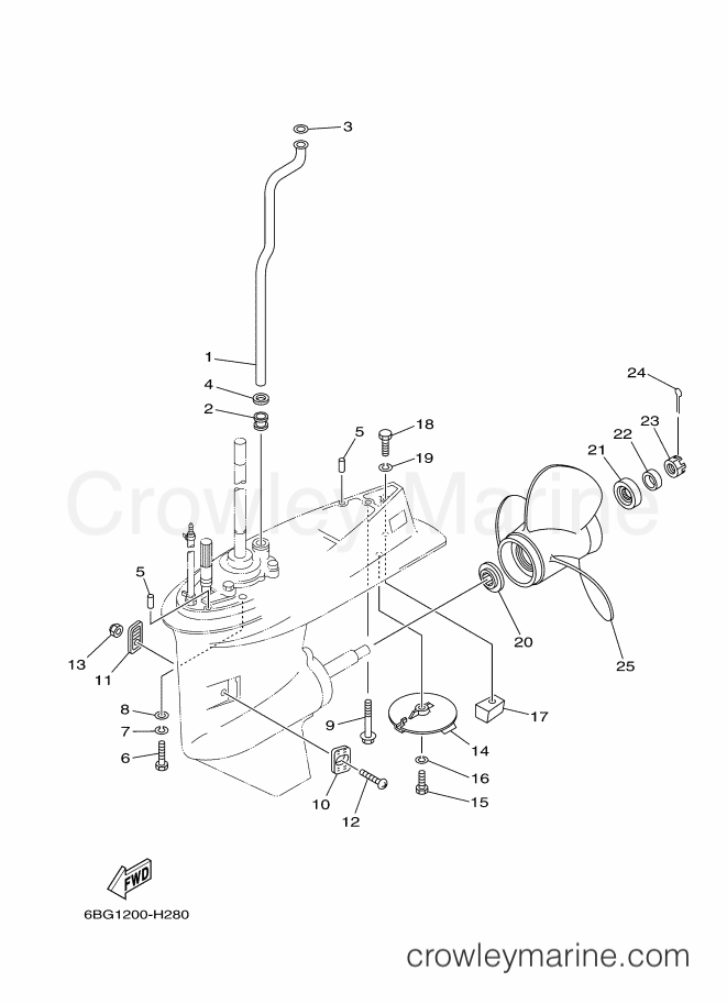 Yamaha Motors F40FETL (6BG5) [250] - LOWER CASING & DRIVE 2