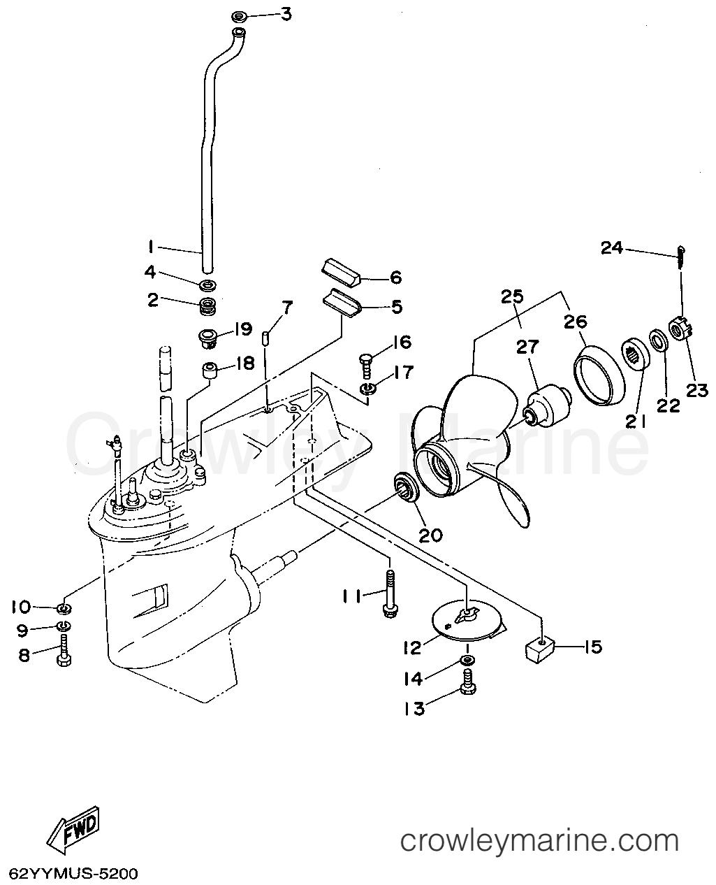 Yamaha Motors F50TLHT - LOWER CASING DRIVE 2