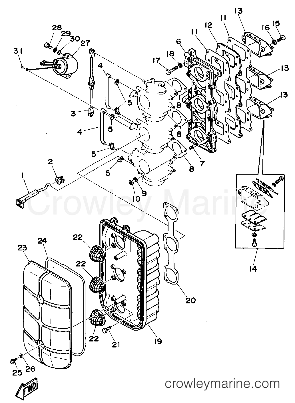 Yamaha Motors C85TLRS - INTAKE