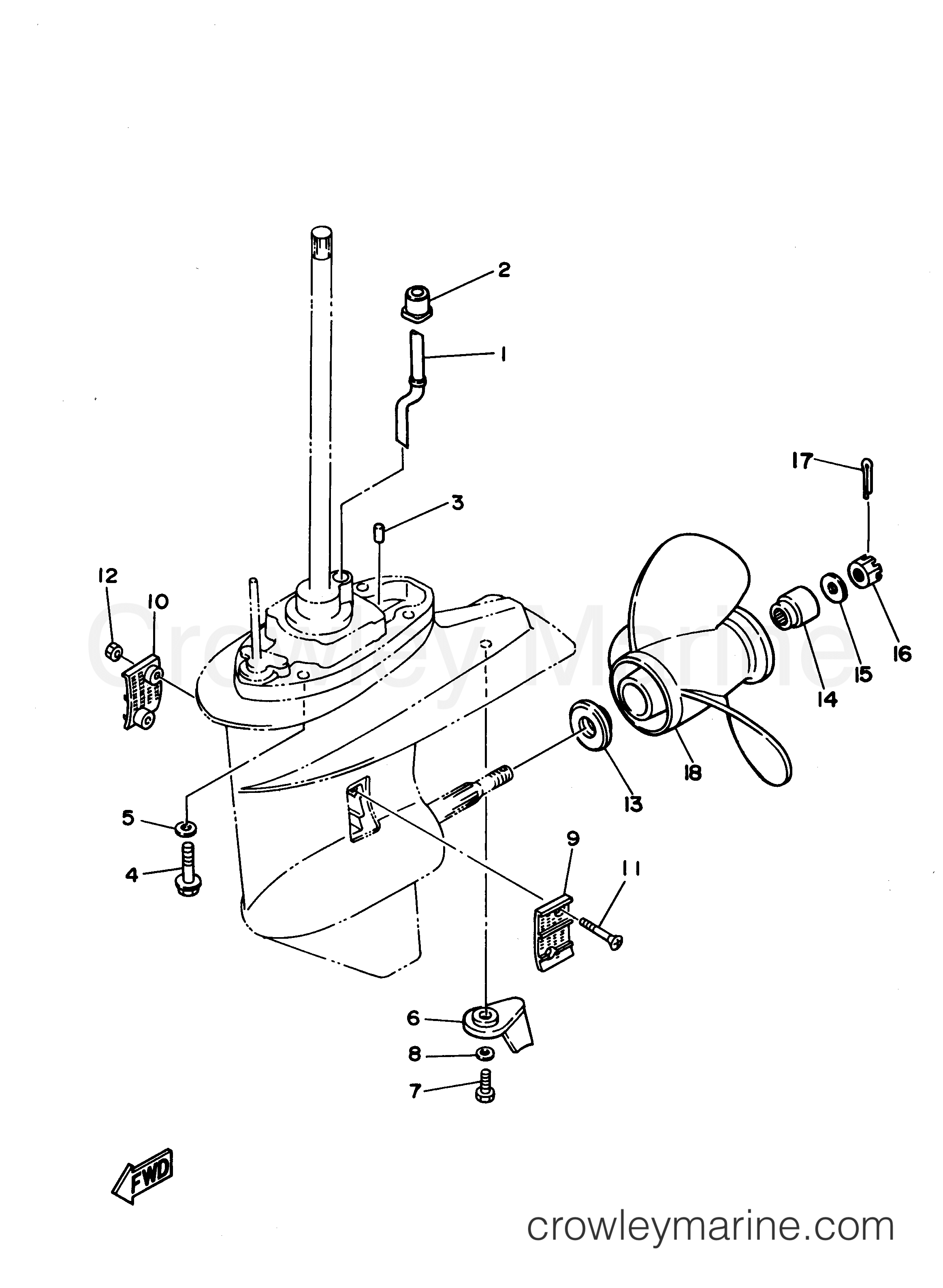 Yamaha Motors C30ELRU - LOWER CASING DRIVE 2