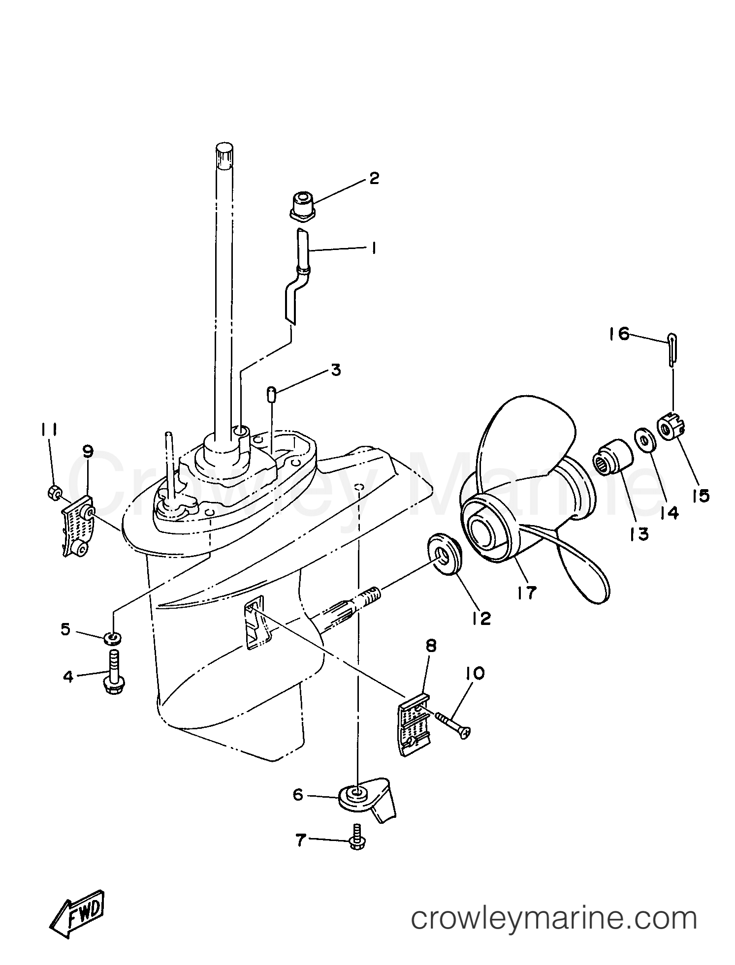 Yamaha Motors C30ELRV - LOWER CASING DRIVE 2