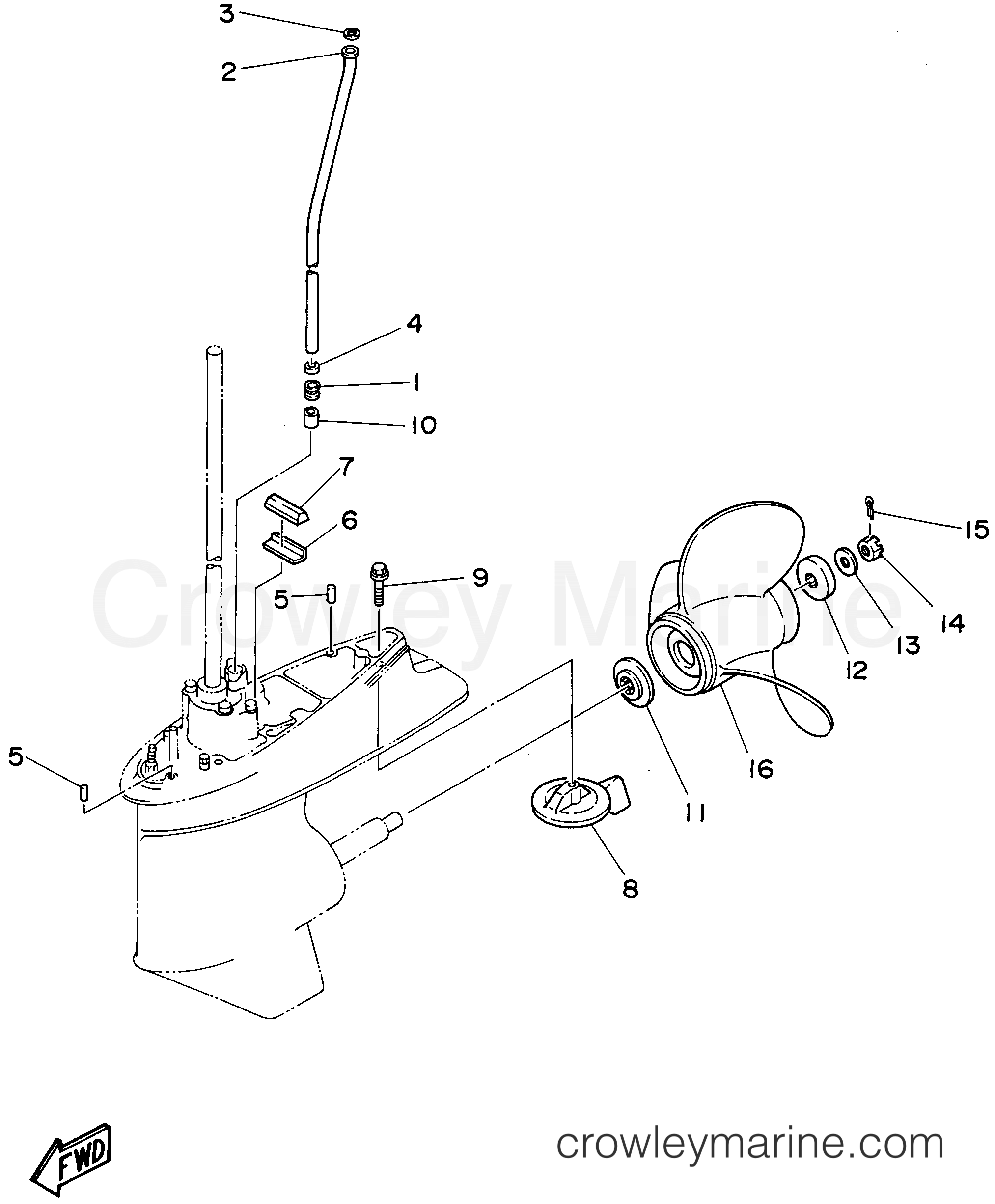 Yamaha Motors E60MLHV - LOWER CASING DRIVE 2