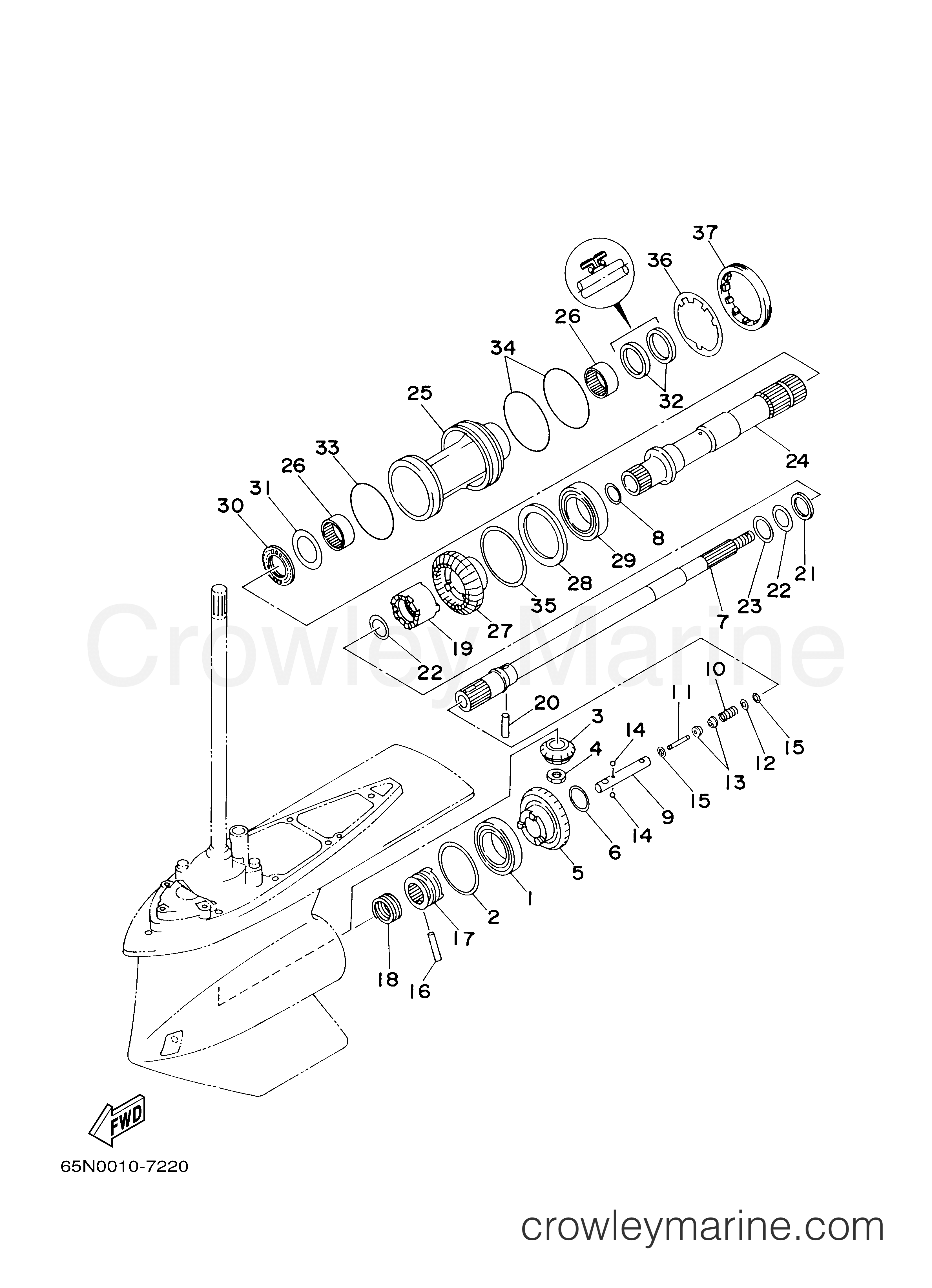 Yamaha Motors DX150TLRZ - LOWER CASING DRIVE 2A