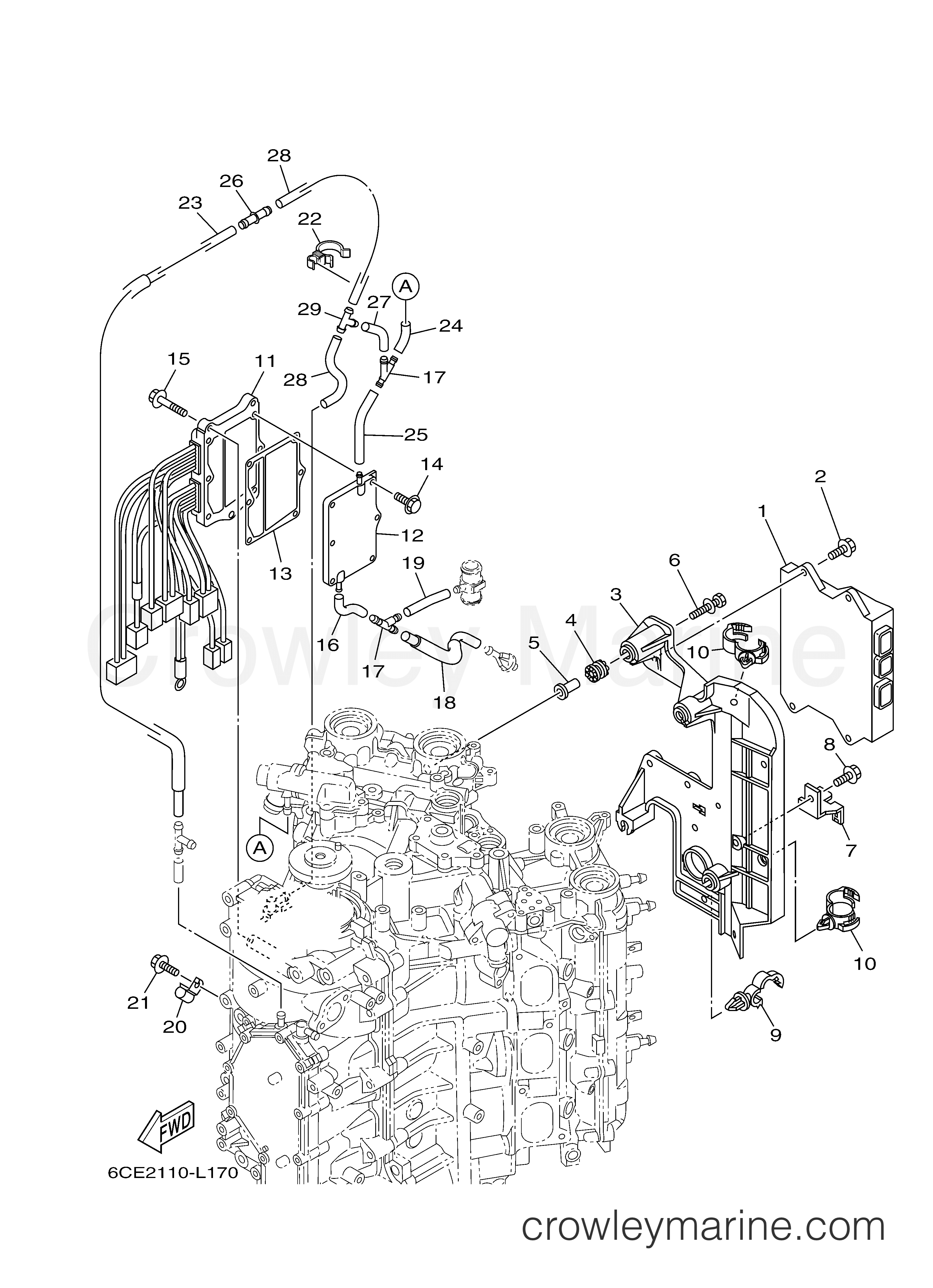 Yamaha Motors F300UCA - ELECTRICAL 1