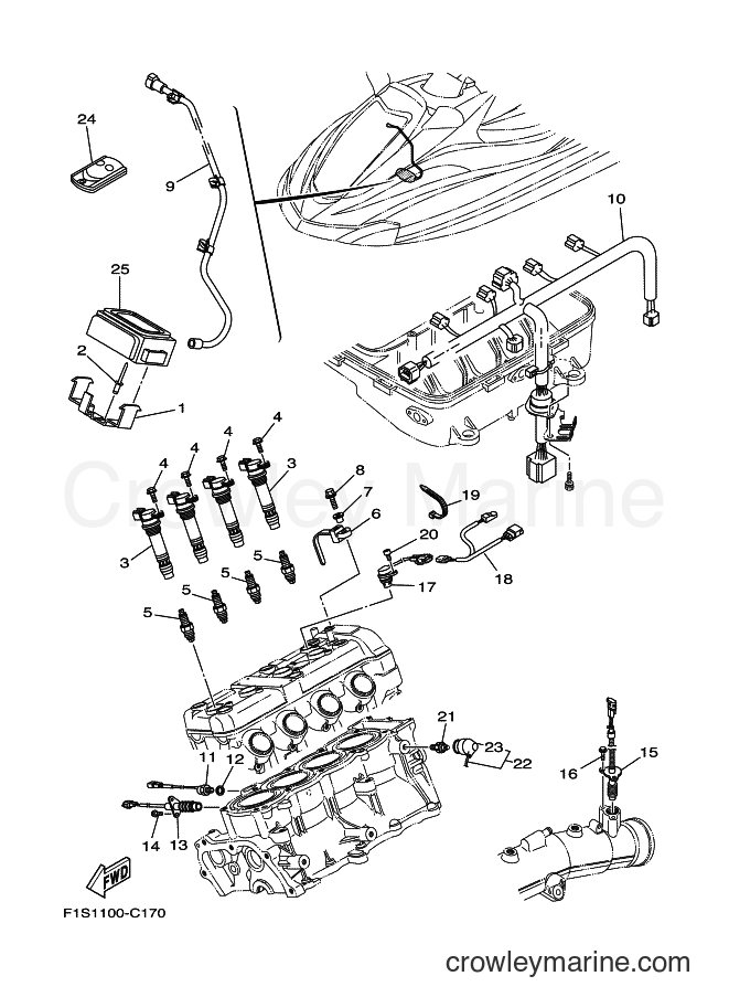 Yamaha Motors FX1100 (F1S1) [030] - ELECTRICAL 2