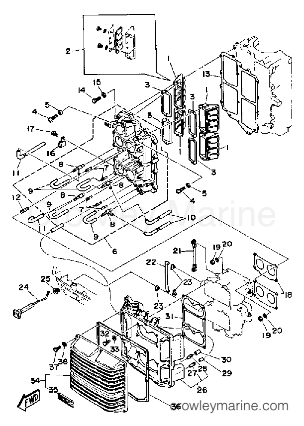 Yamaha Motors C115TXRQ - INTAKE