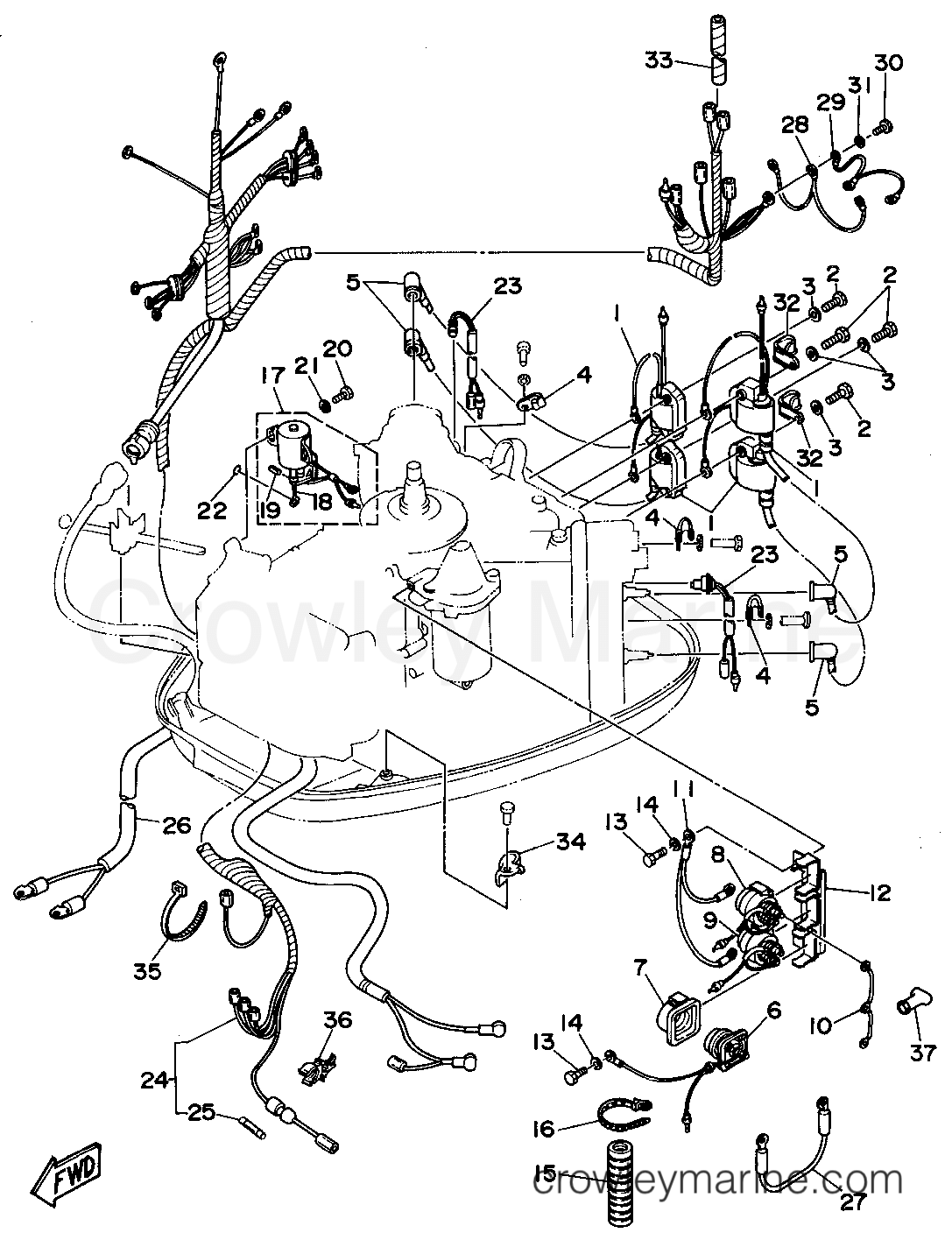 Yamaha Motors C115TXRT - ELECTRICAL 2