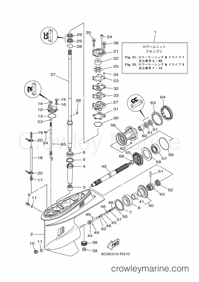 Yamaha Motors FT60GETX (6C6E) [110] - LOWER CASING & DRIVE 1
