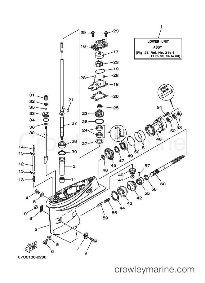 Yamaha Motors F40B (67C) [100] - LOWER CASING & DRIVE 1