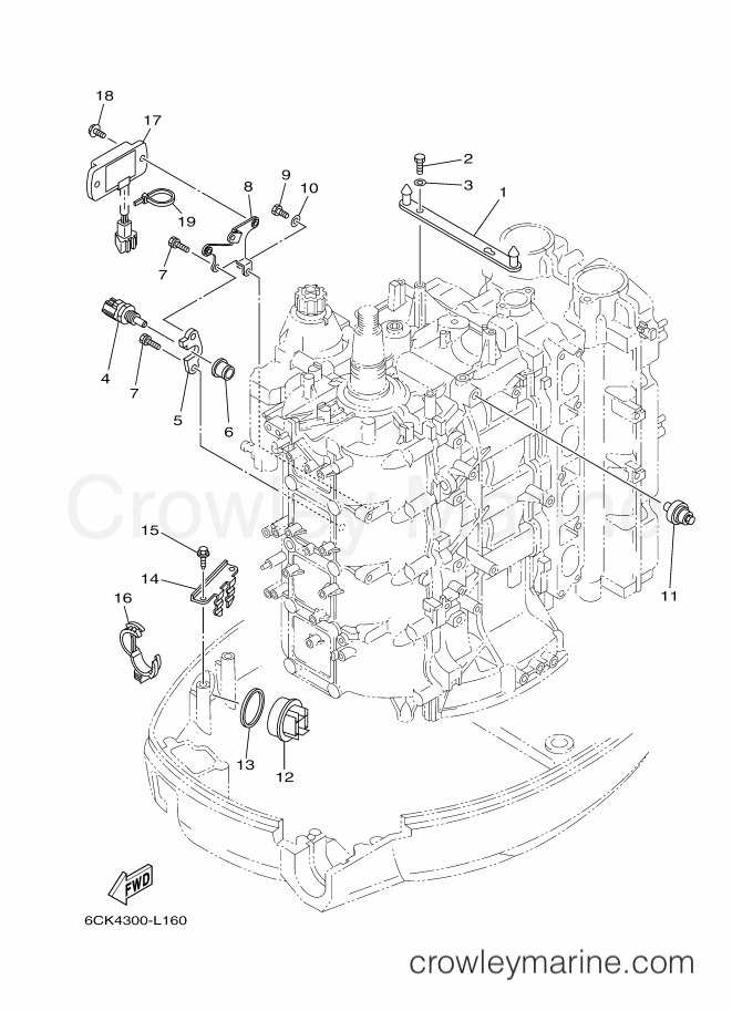 Yamaha Motors F80CED (6CK5) [020] - ELECTRICAL 4