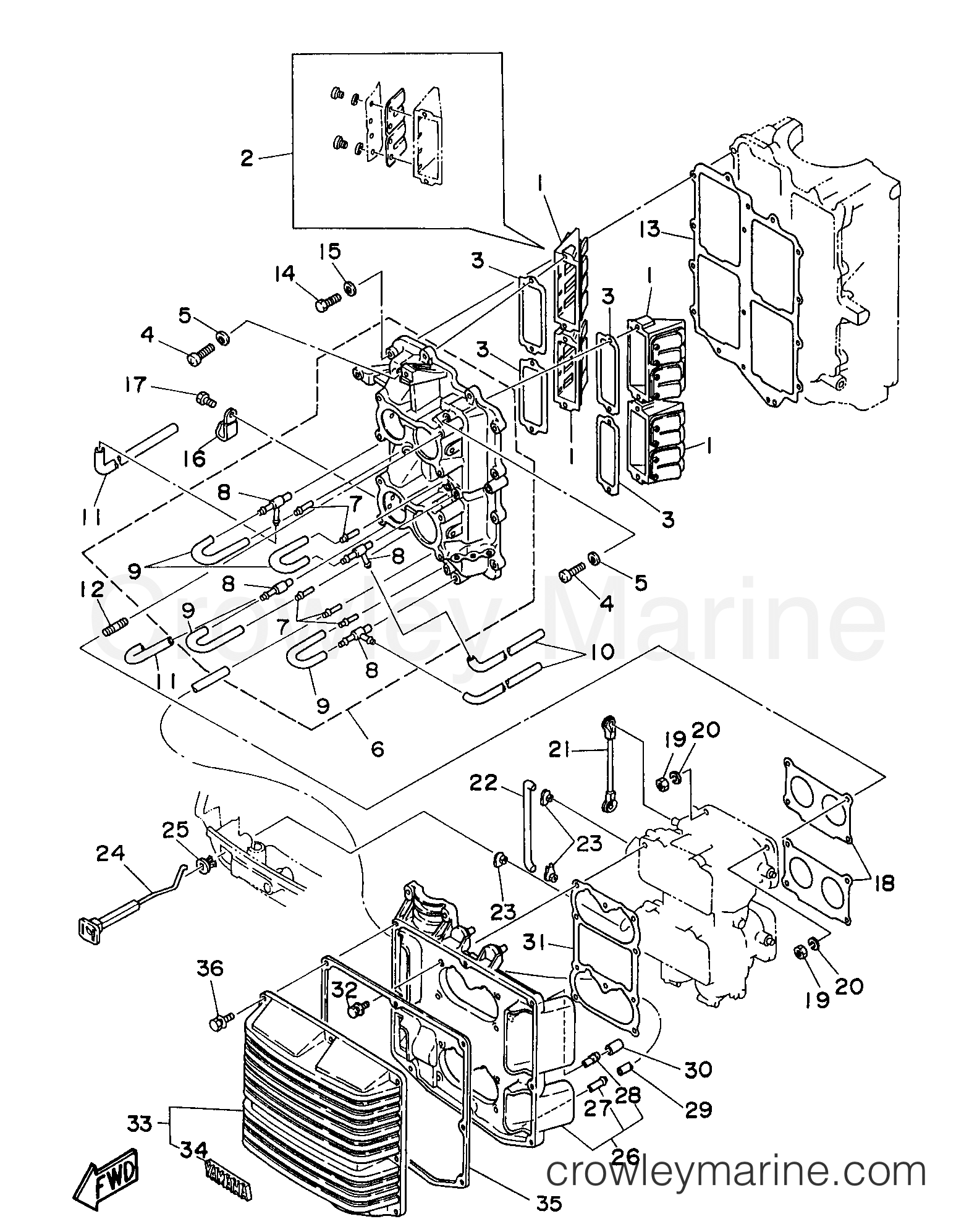 Yamaha Motors C115TXRW - INTAKE