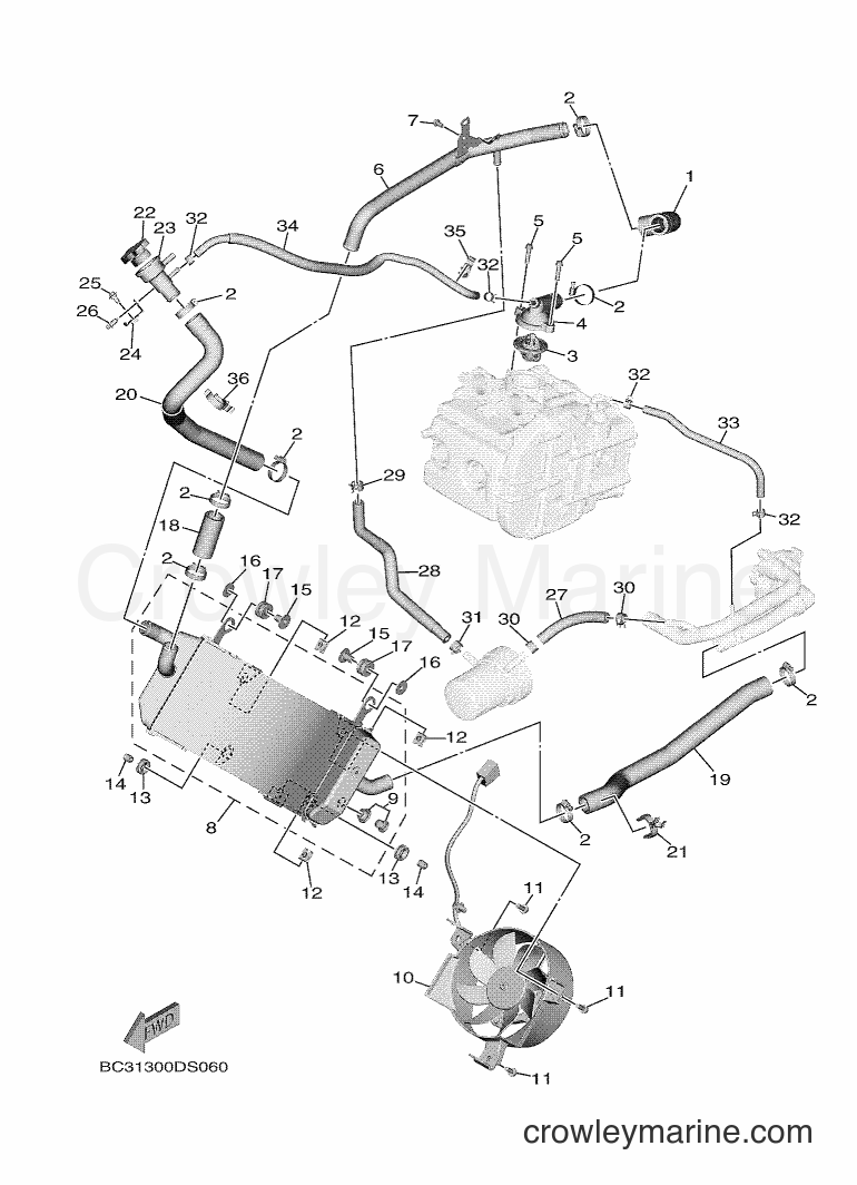 2017 Scooter XP530D-A - XP530D-A (BC31) [010] - RADIATOR & HOSE