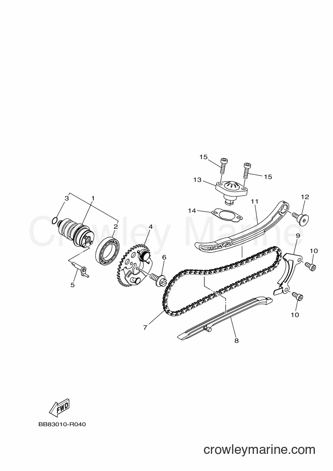 2017 Scooter MWS125-A - MWS125-A (BR71) [010] - CAMSHAFT & CHAIN