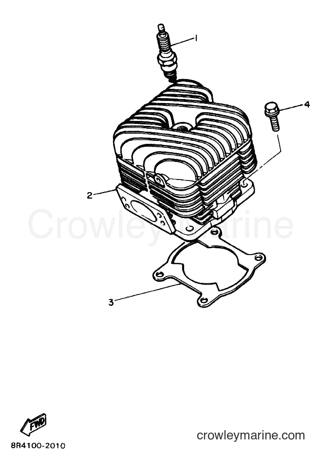 Yamaha Motors BR250T (8BDB) [010] - CYLINDER