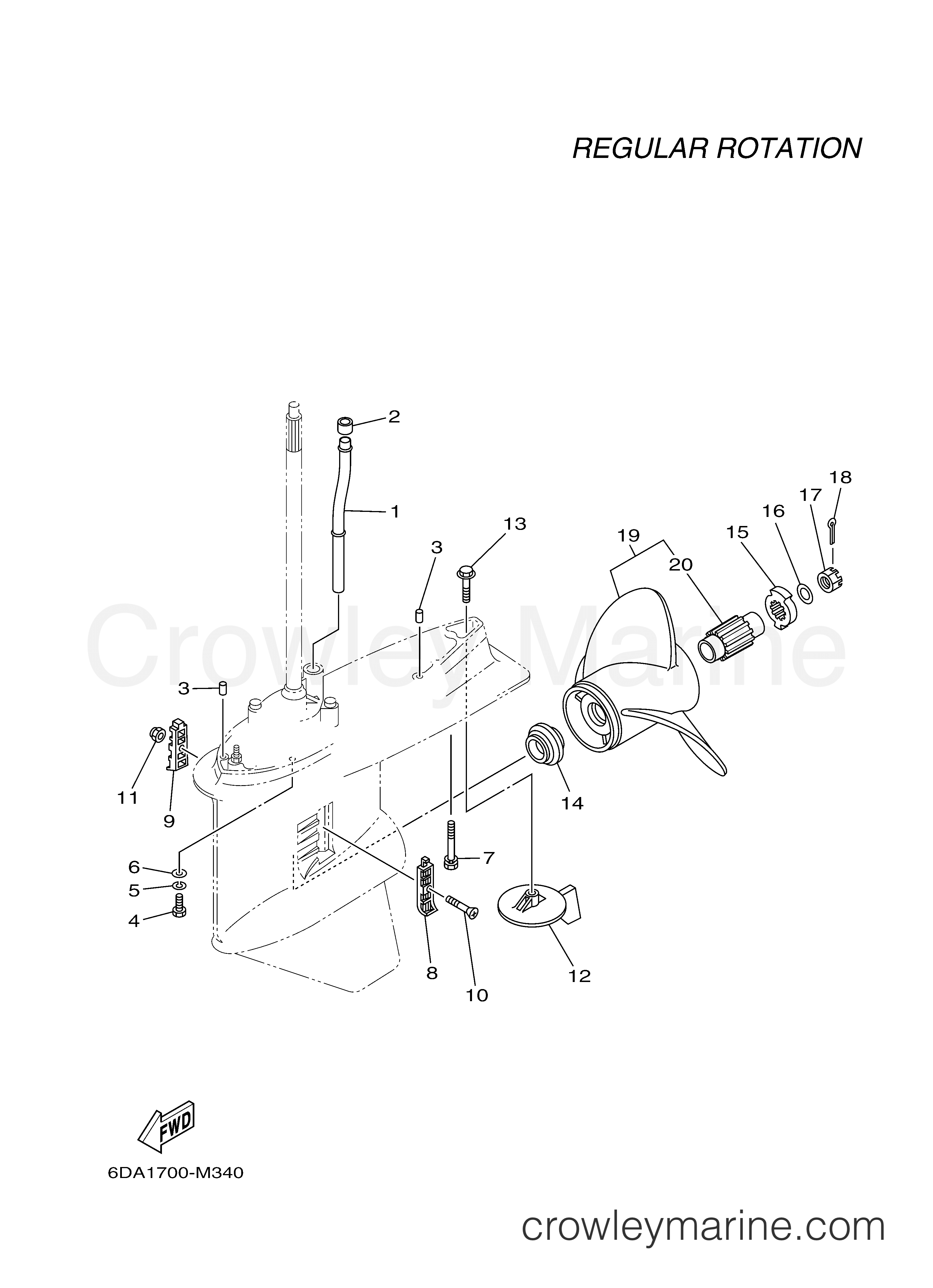 Yamaha Motors F200XCA - LOWER CASING DRIVE 2