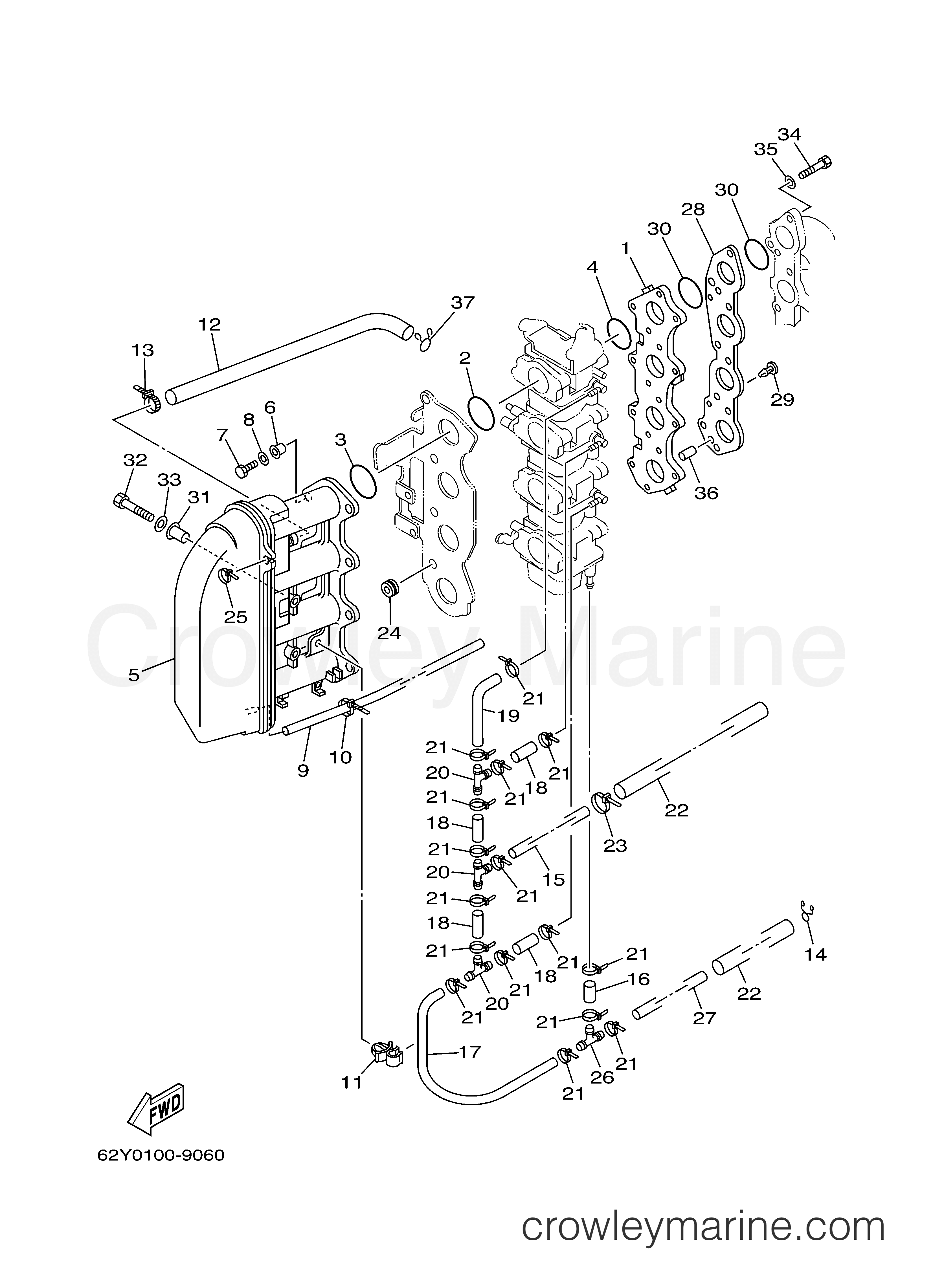 Yamaha Motors T50TLRY - INTAKE