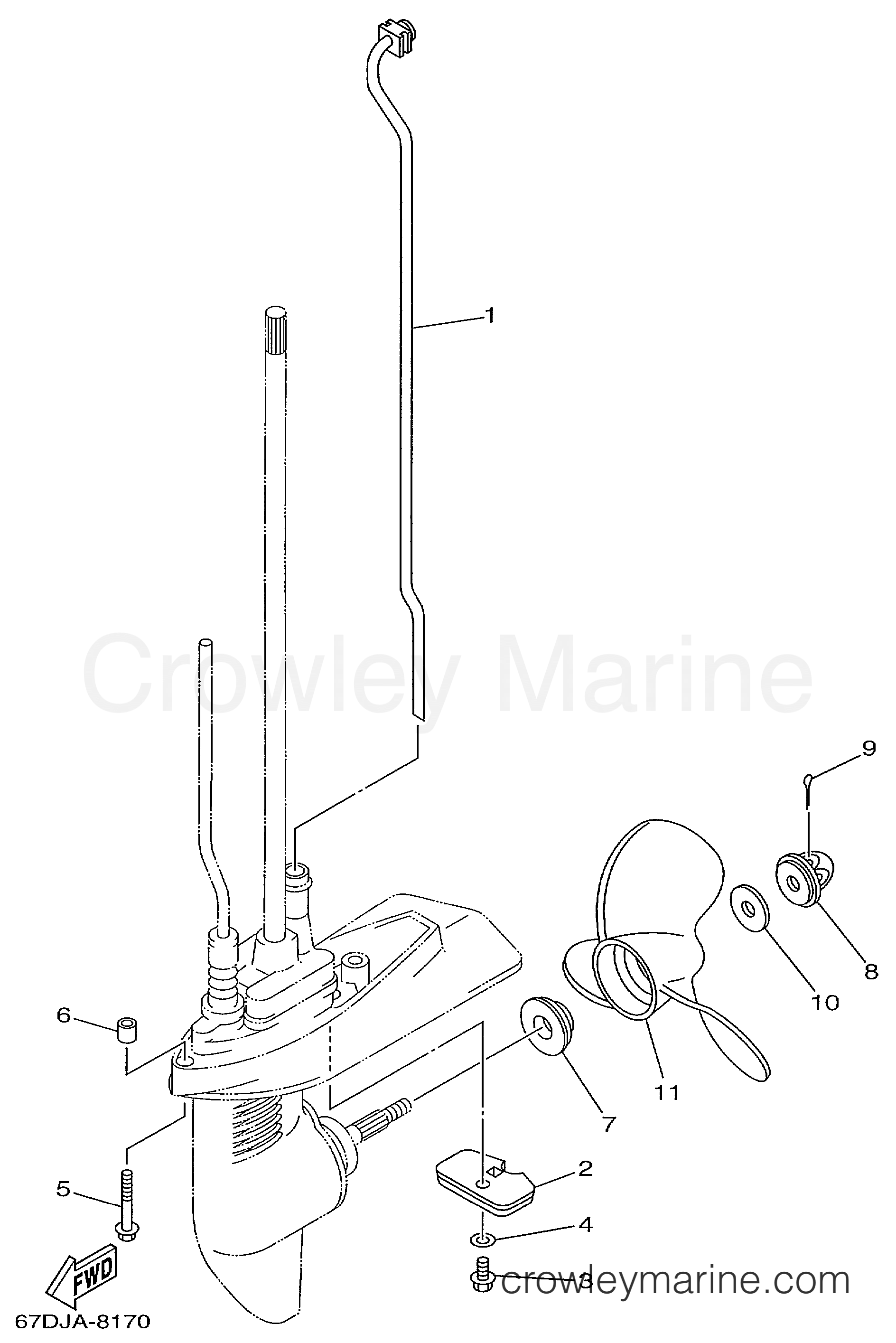 Yamaha Motors F4MSHX - LOWER CASING DRIVE 2