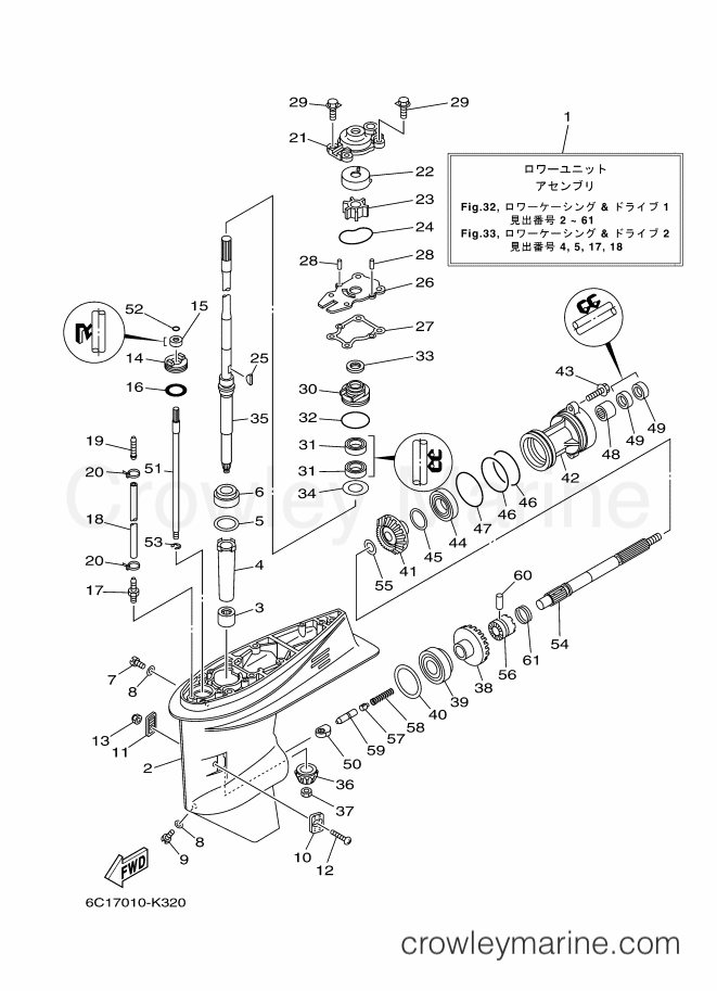 Yamaha Motors F60CETL (6C59) [160] - LOWER CASING & DRIVE 1