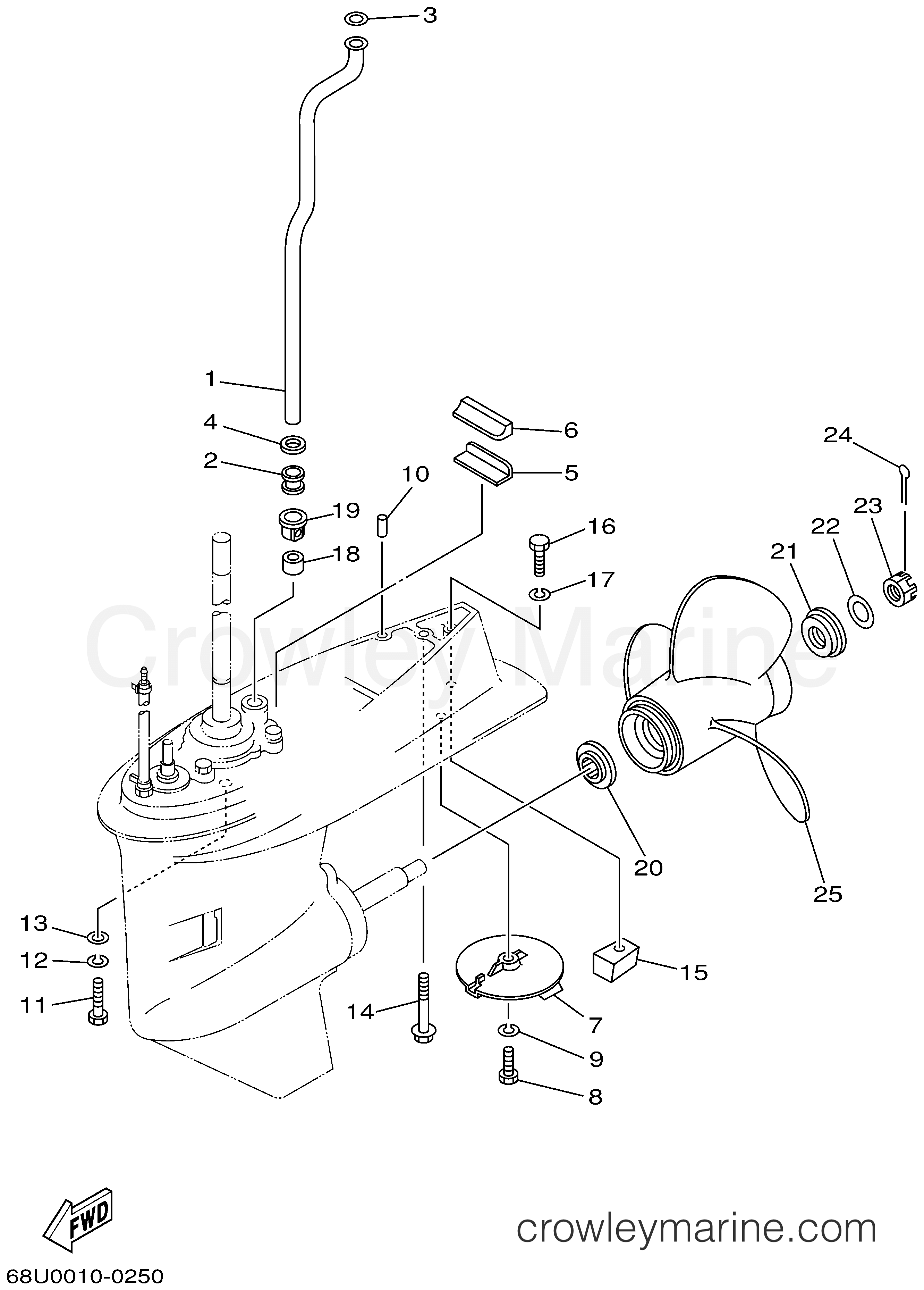 Yamaha Motors T25TLRA - LOWER CASING DRIVE 2