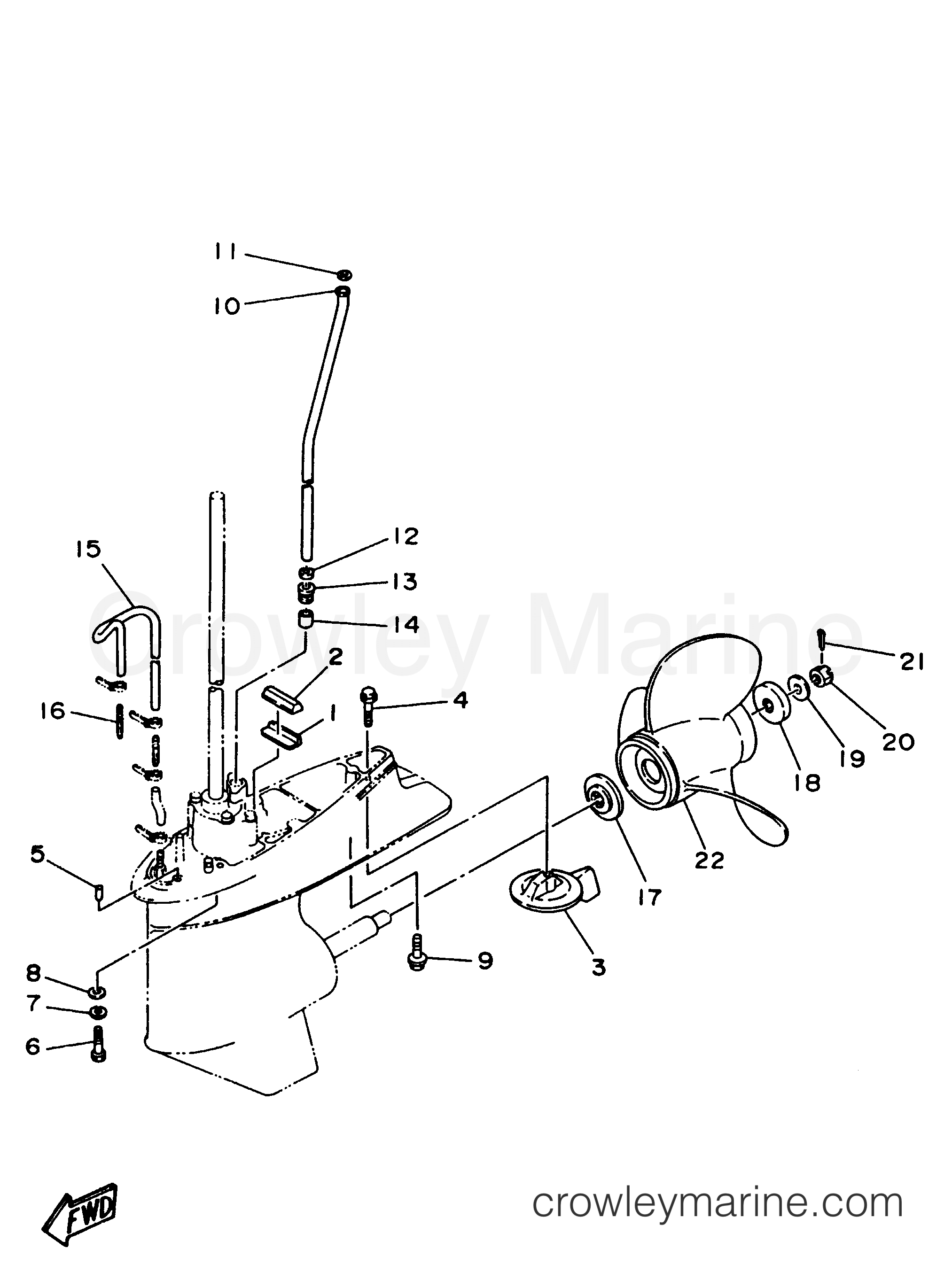 Yamaha Motors C60TLRV - LOWER CASING DRIVE 2