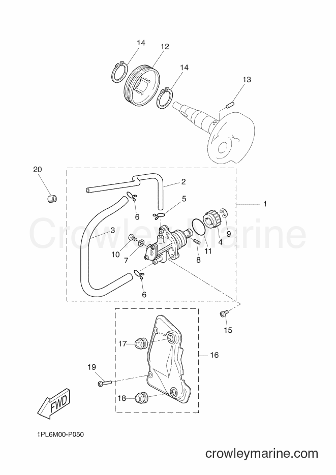 2016 Scooter NS50N - NS50N (1PL8) [080] - OIL PUMP