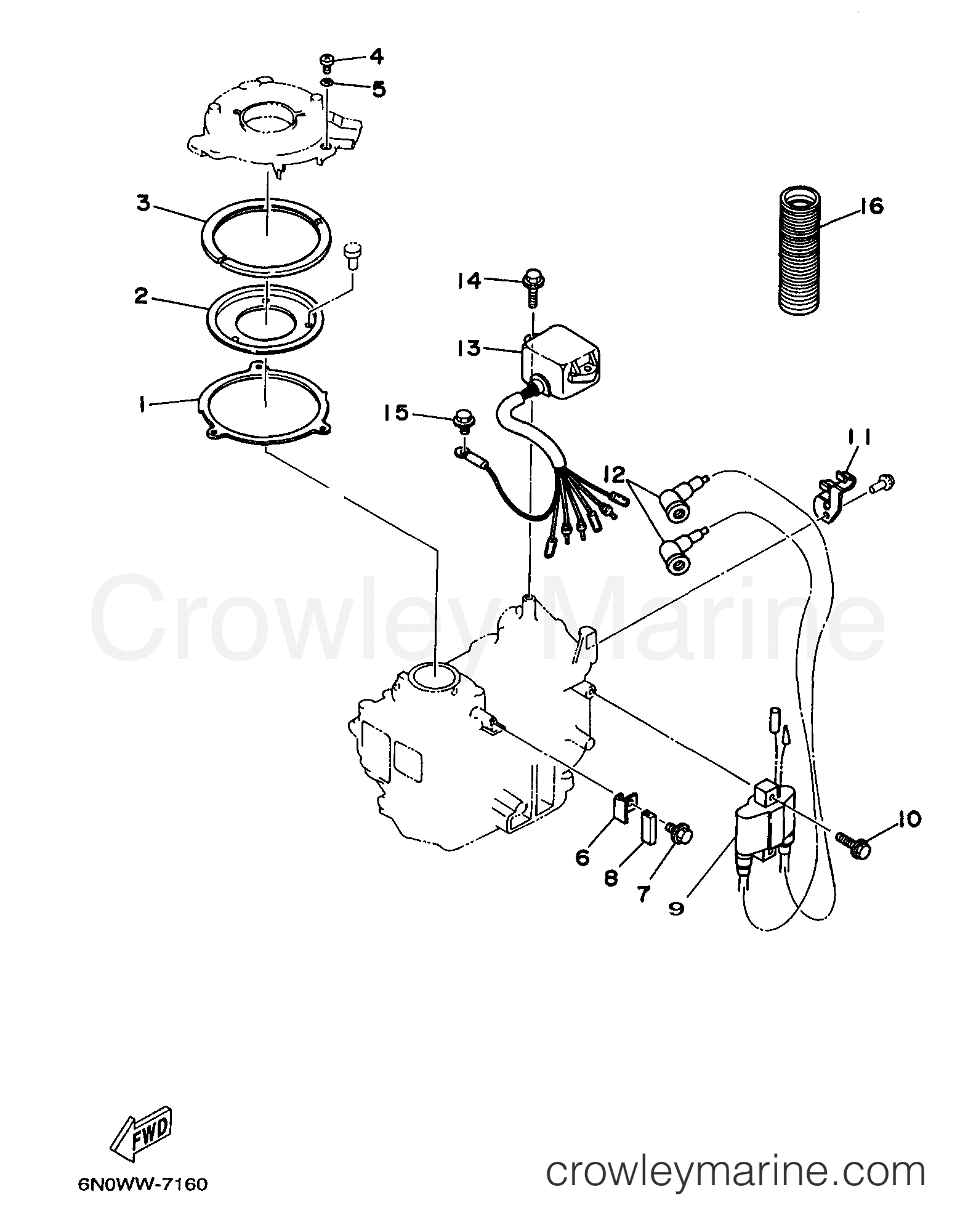 Yamaha Motors 8MLHY - ELECTRICAL