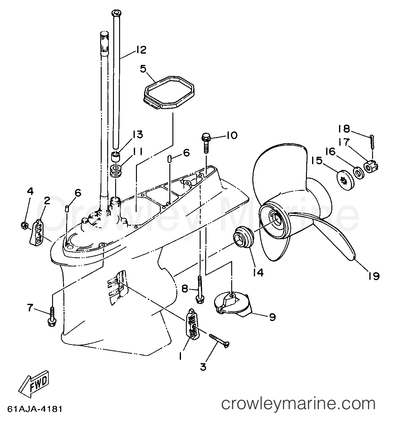 Yamaha Motors V225TLRW - LOWER CASING DRIVE 2