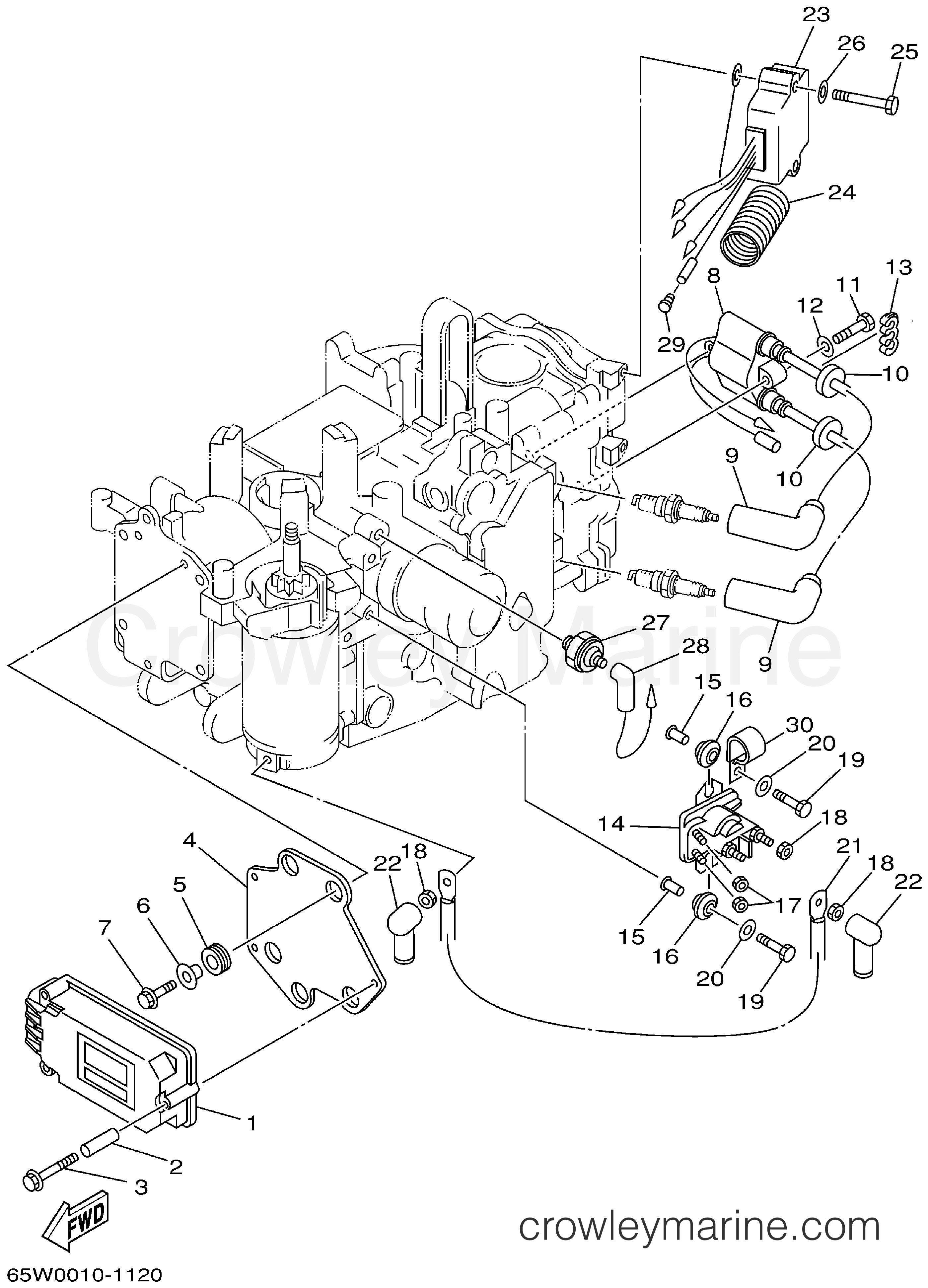Yamaha Motors F25MSHA - ELECTRICAL 1