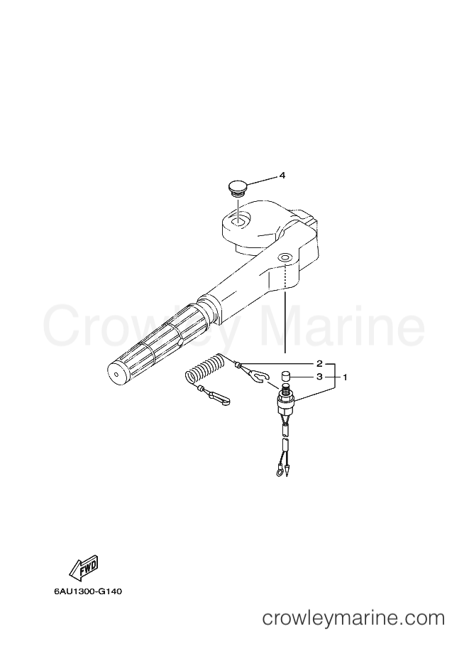 Yamaha Motors F8CMHL (60R7) [100] - ELECTRICAL 2