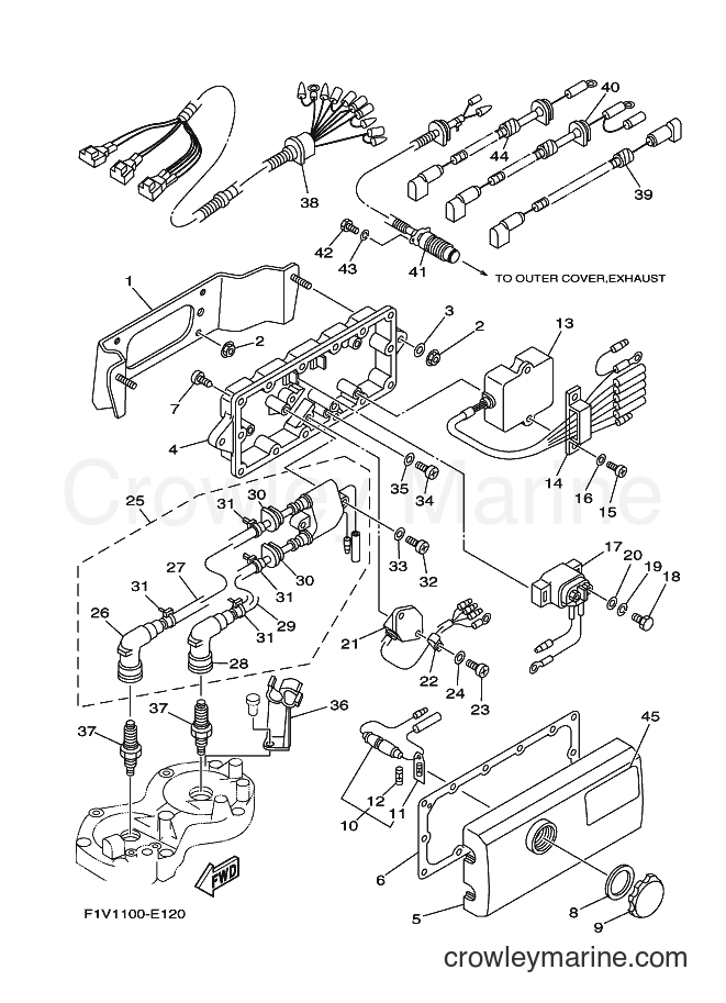 Yamaha Motors VX700-E (F1V1) [010] - ELECTRICAL 1
