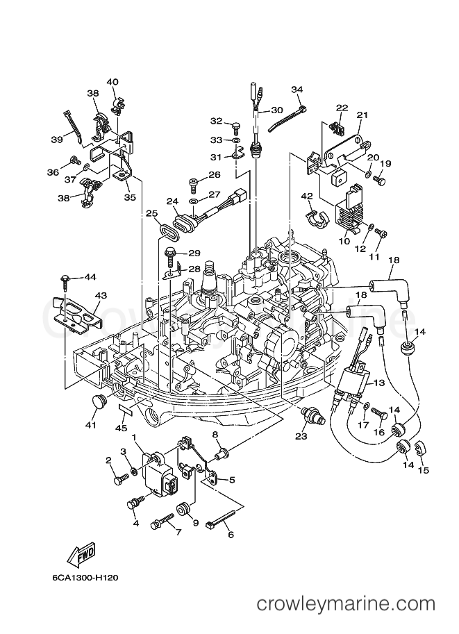 Yamaha Motors F9.9HMHS (6CA5) [120] - ELECTRICAL 1