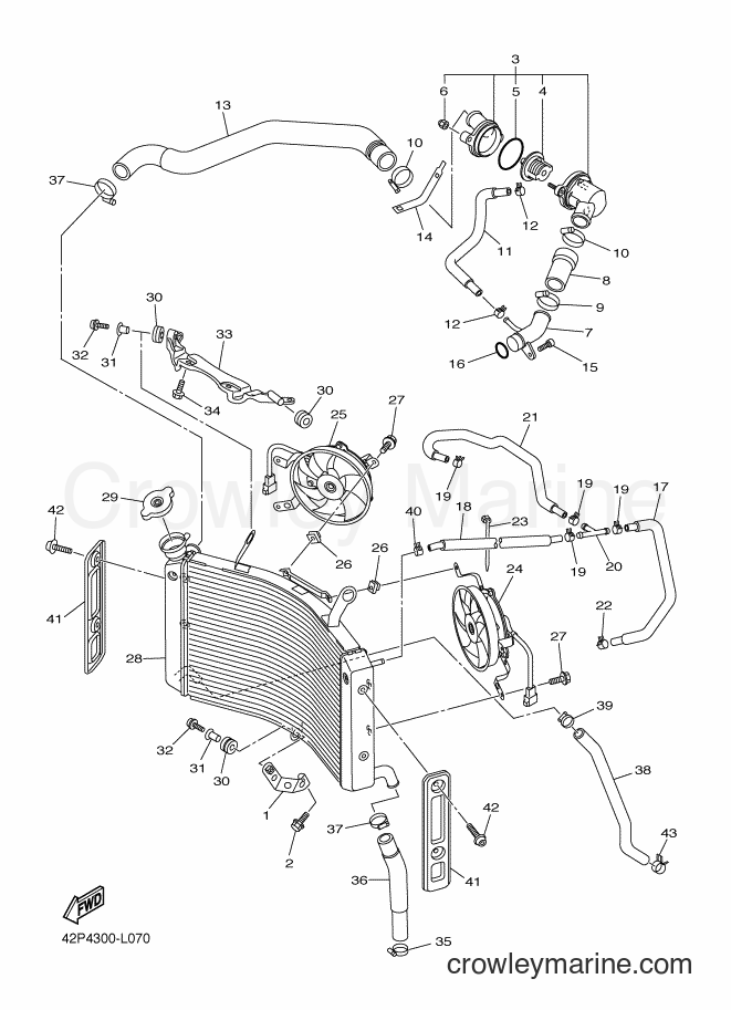 2012 Street Bike FZ8-SA - FZ8-SA (1BD2) [010] - RADIATOR & HOSE