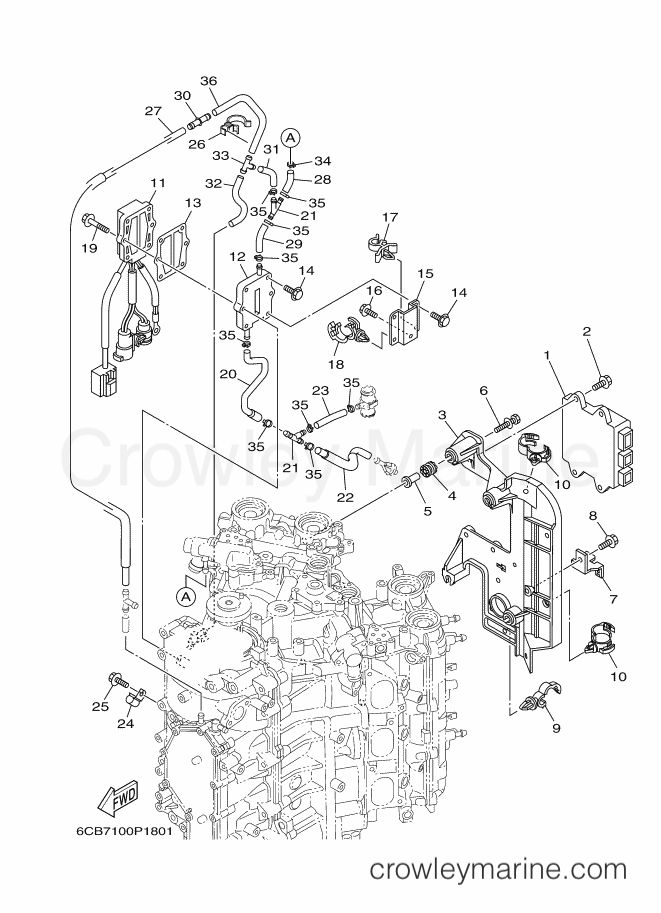 Yamaha Motors VF200A (6CD7) [050] - ELECTRICAL 1