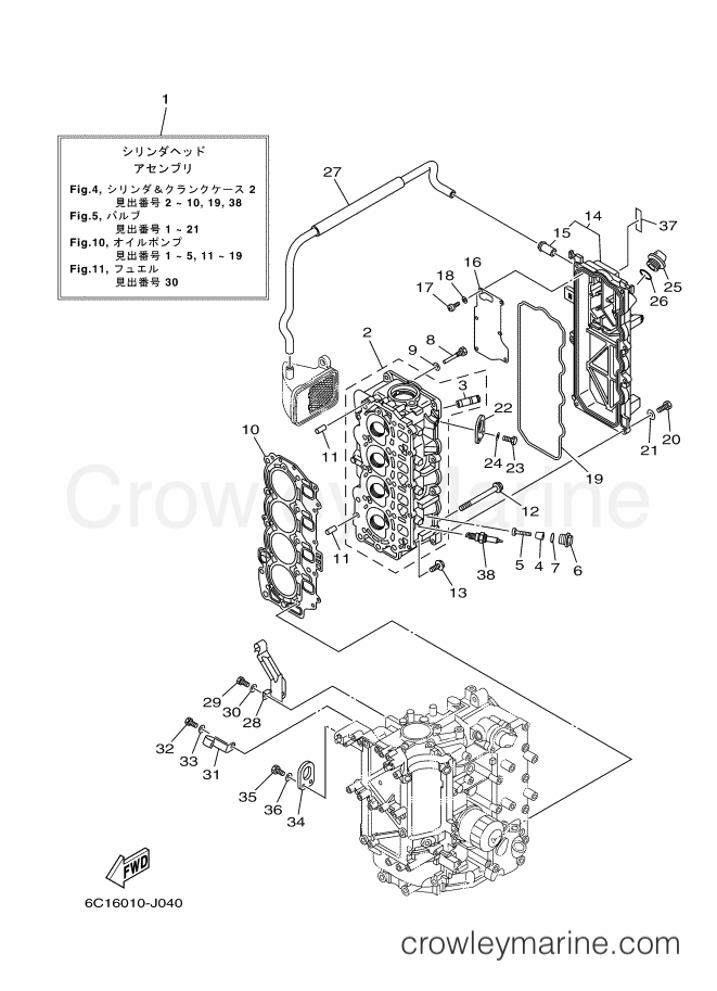 Yamaha Motors F60CETL-J (6C56) [160] - CYLINDER & CRANKCASE 2